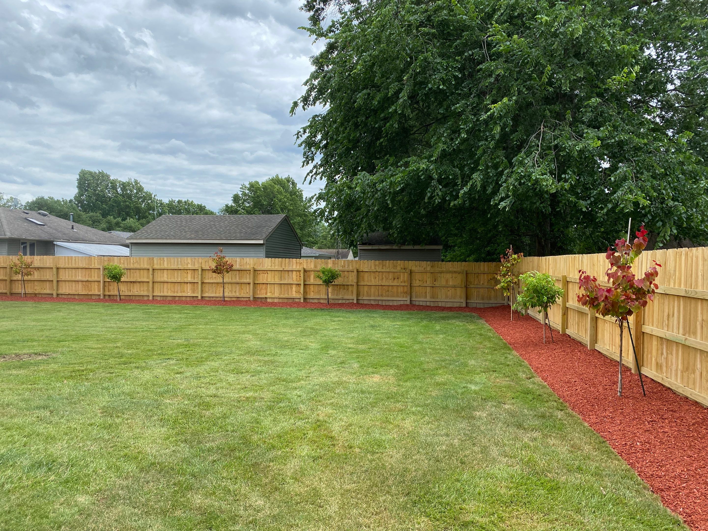 Redbud Fence Project  by Elm Rose Gardens
