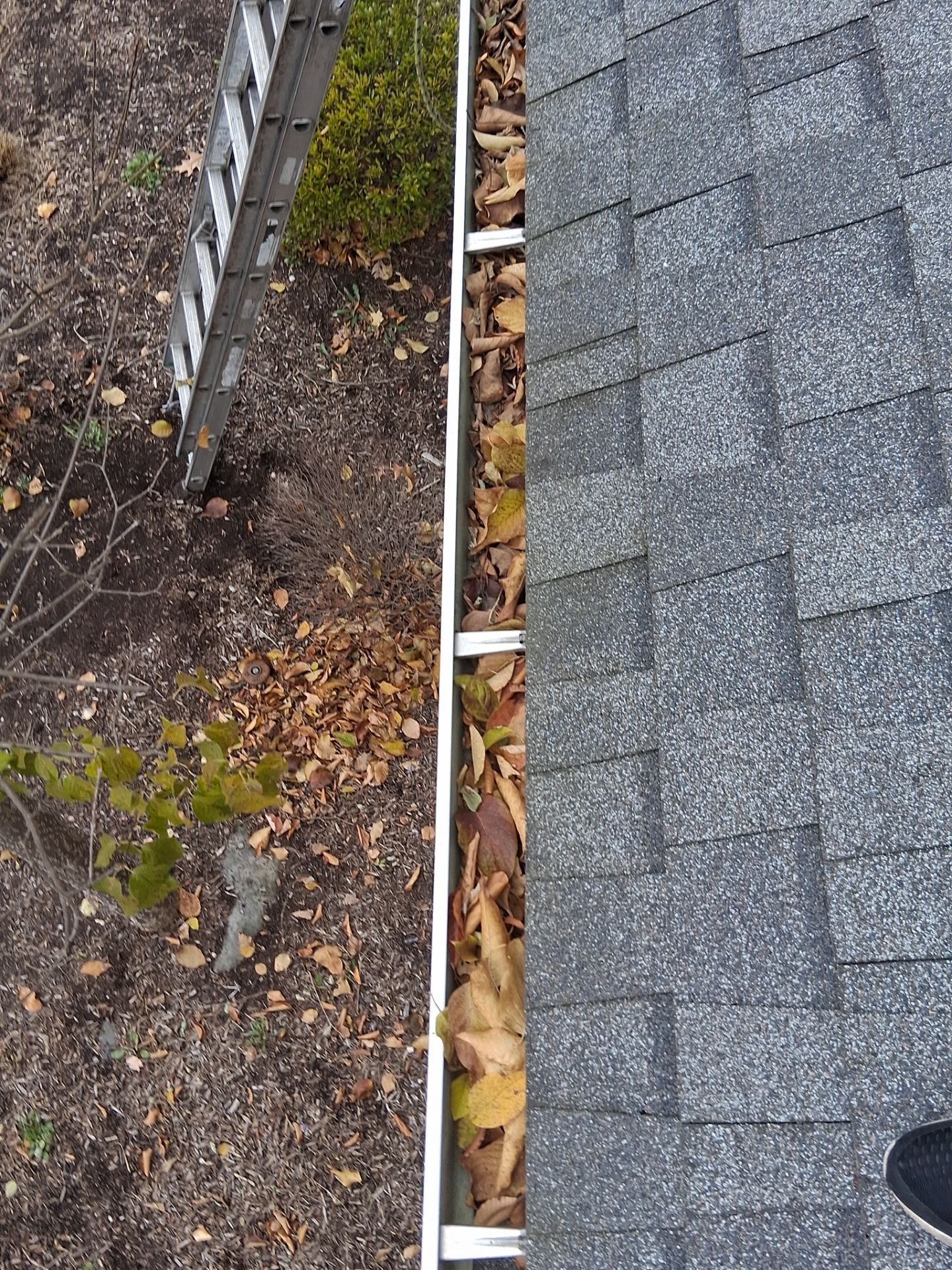 Commercial gutter cleaning Buffalo & Rochester before photo with filled gutters