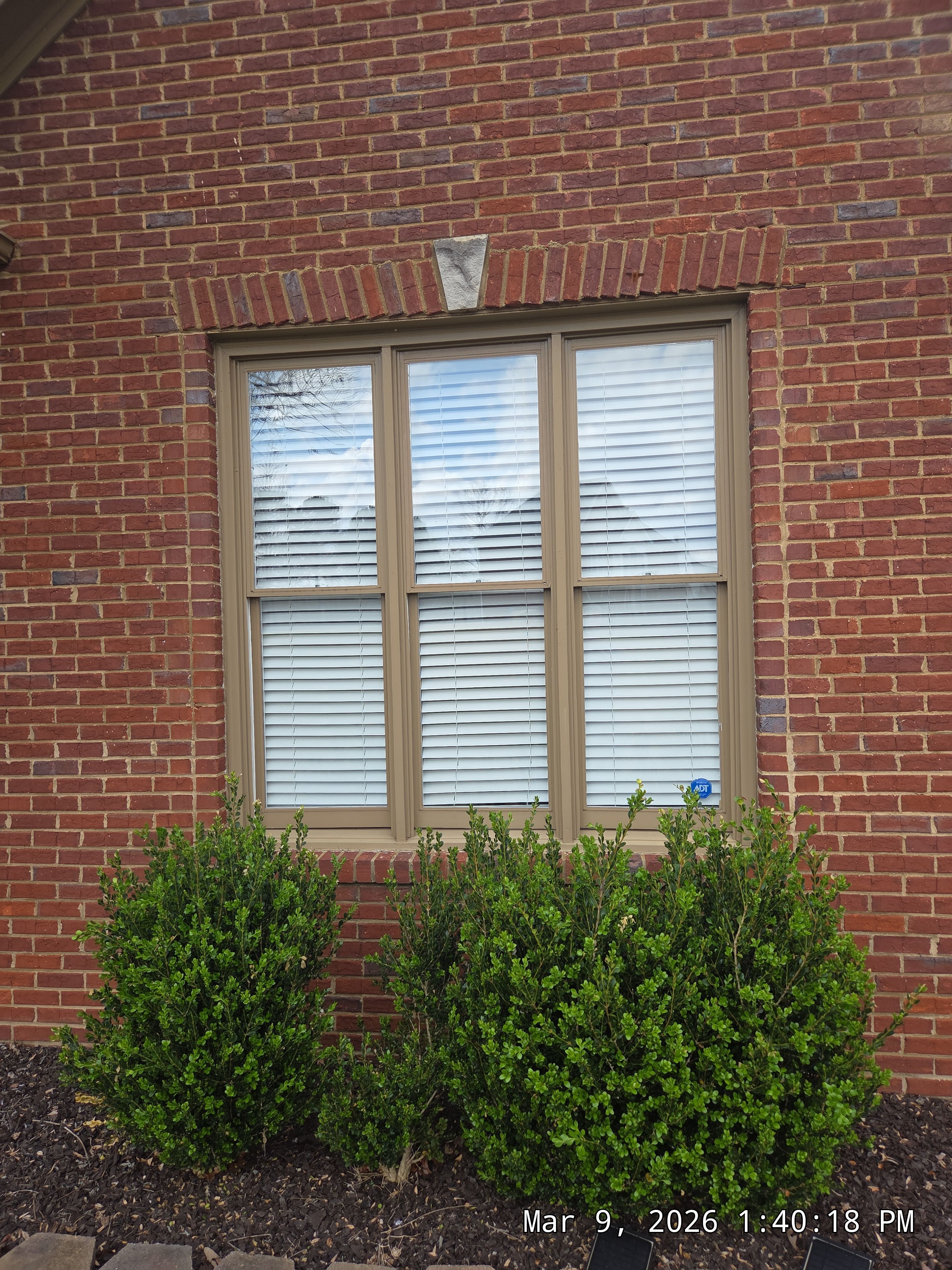 Vo Project in Vestavia Hills by The Window Source