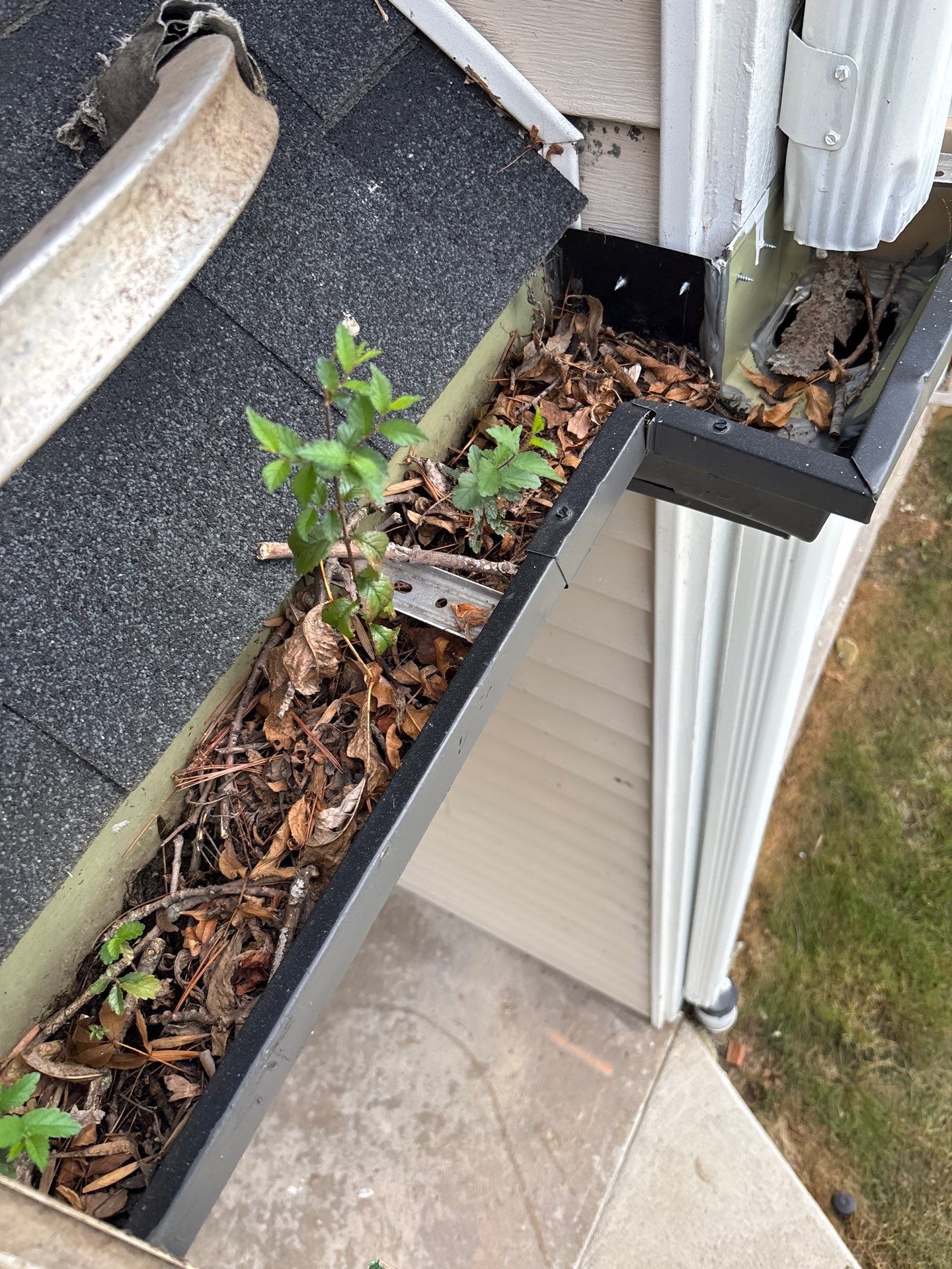 Commercial gutter cleaning Cedar Rapids before photo with filled gutters