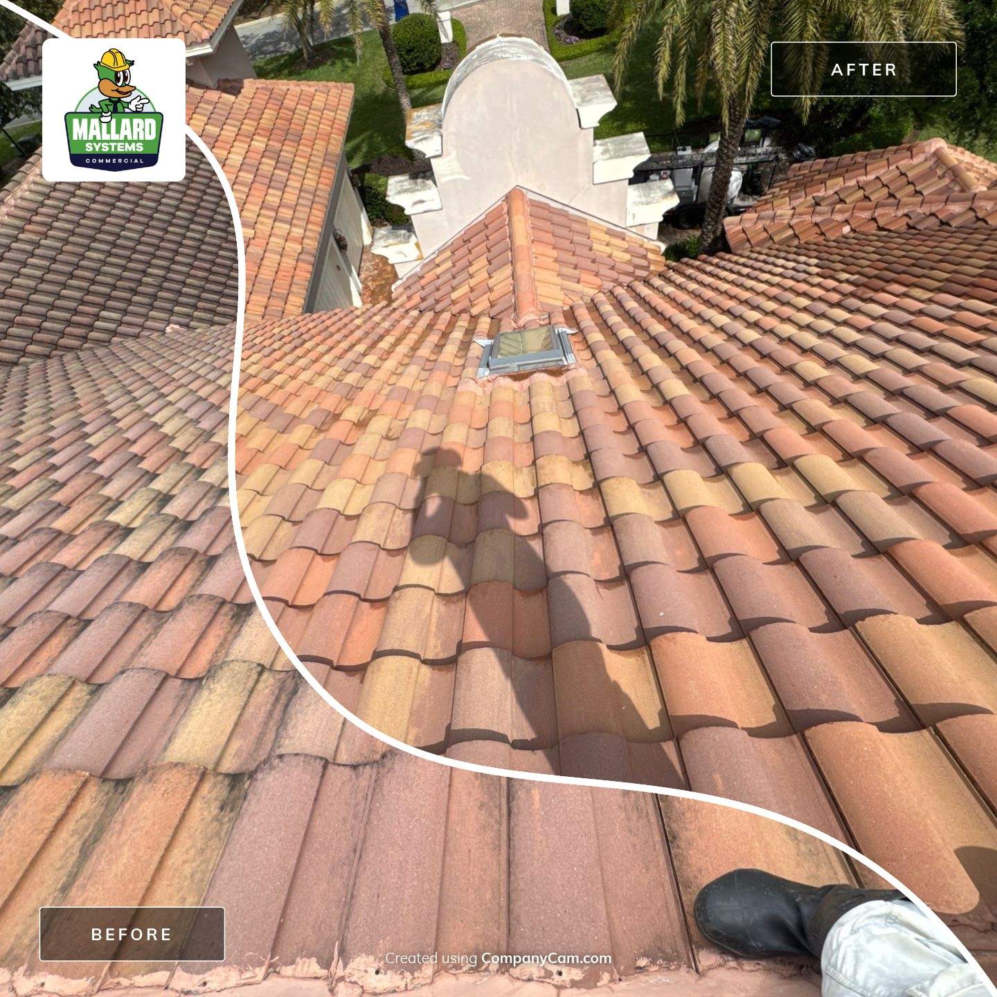 Barrel Tile Roof Cleaning by Mallard Systems