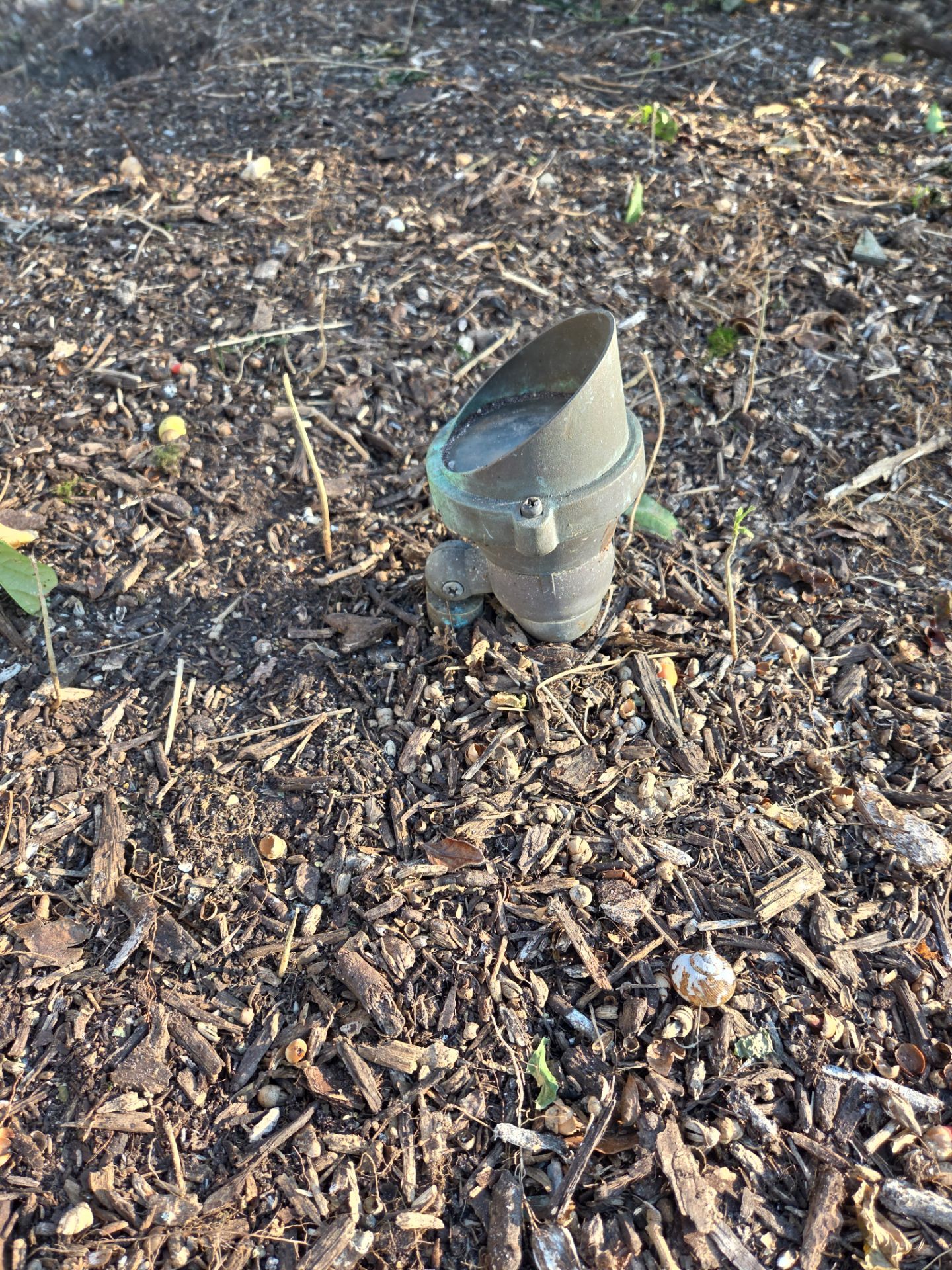 🌴 Landscape Removal and Install in Palm City by Alpha Zeta Enterprises Inc