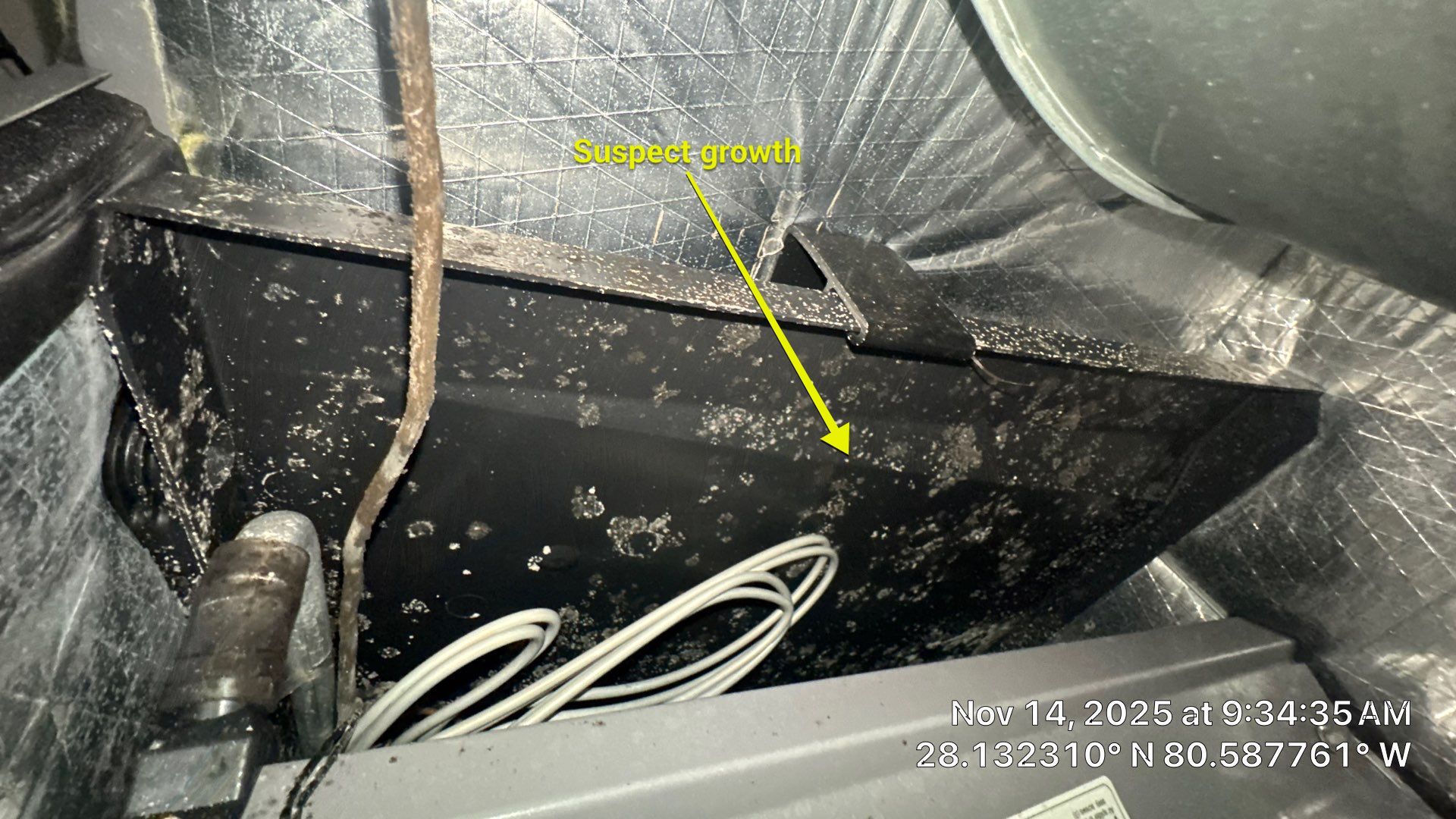 Air Duct Cleaning in Indialantic by Hygienic Air, Inc