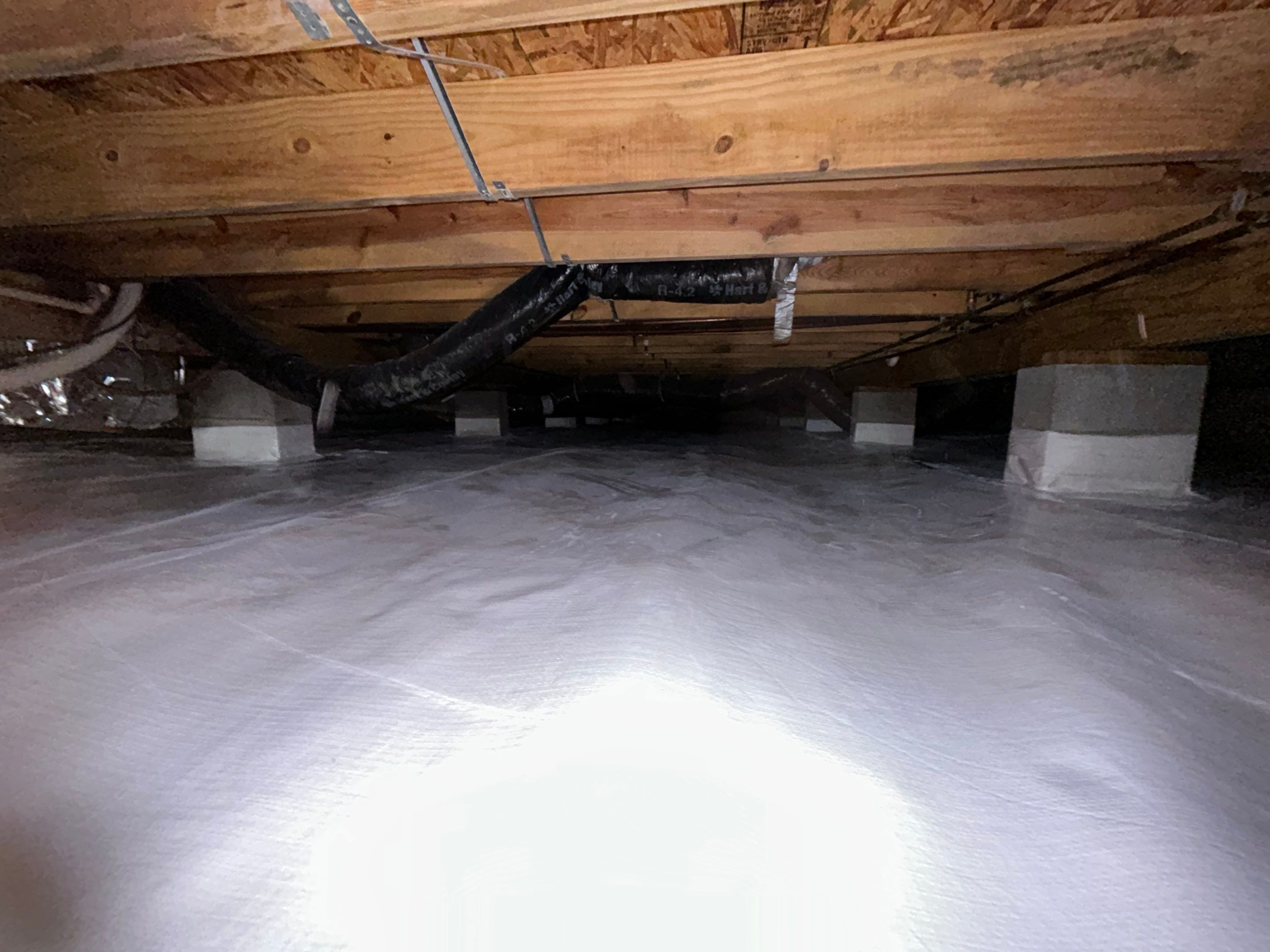 Crawlspace Mold Remediation in Austin, IN by ANR Restoration