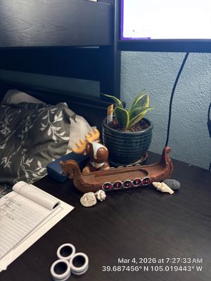 Jones Window Project