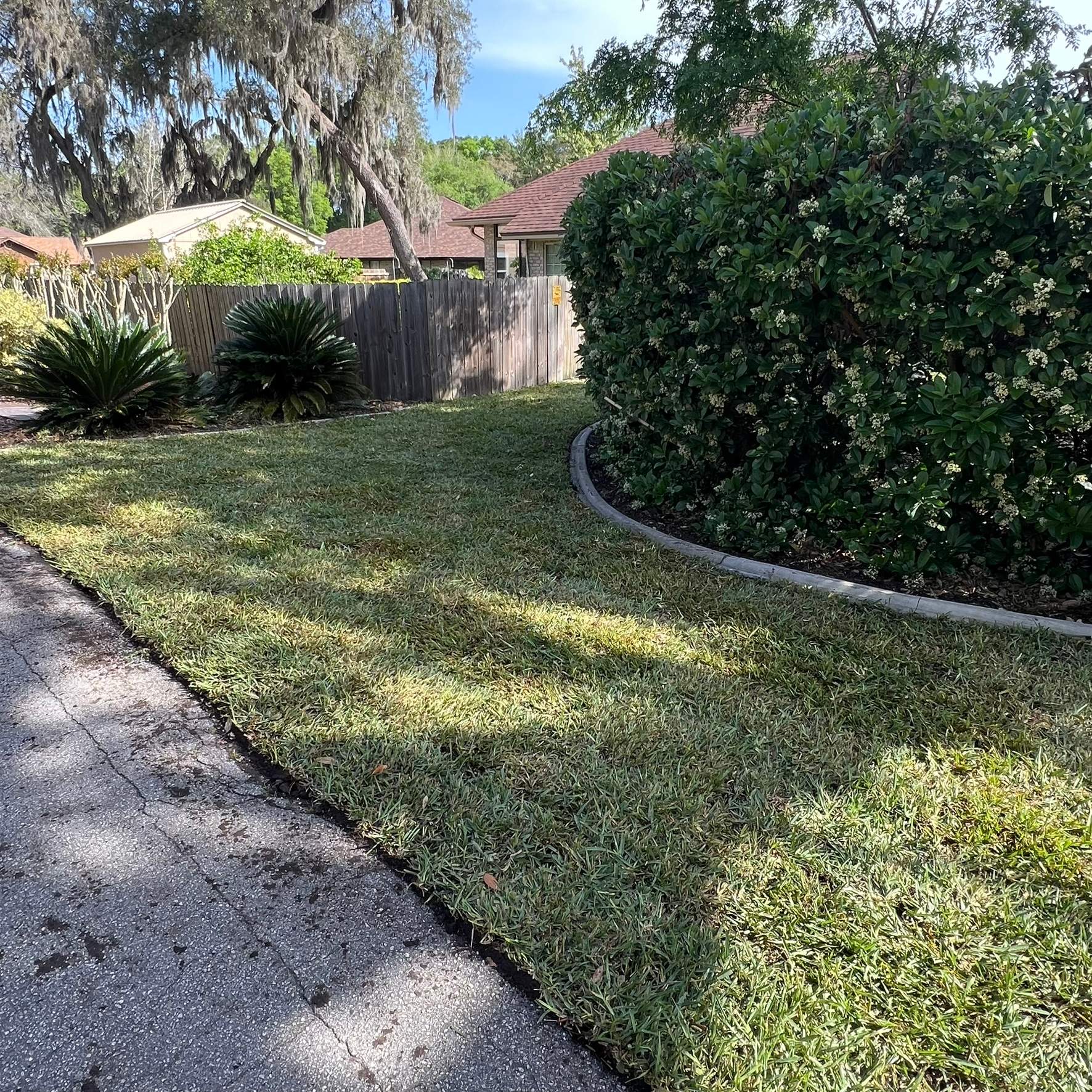 Sod Installation | Orange Park by ProGreen Services