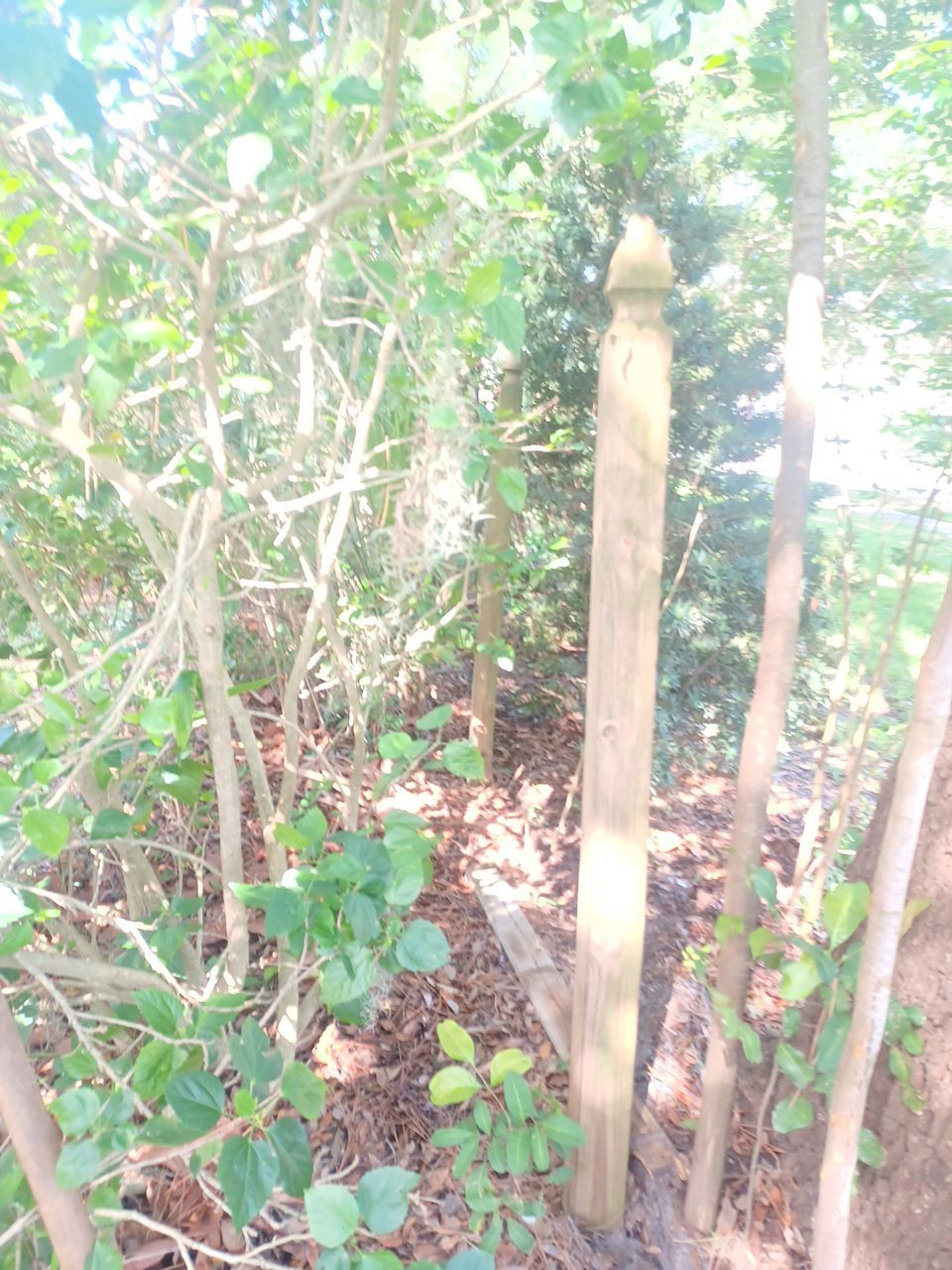 Sarasota, FL 6ft. Tall Treated Board on Board Wood Fence by Asap fence and gates, LLC