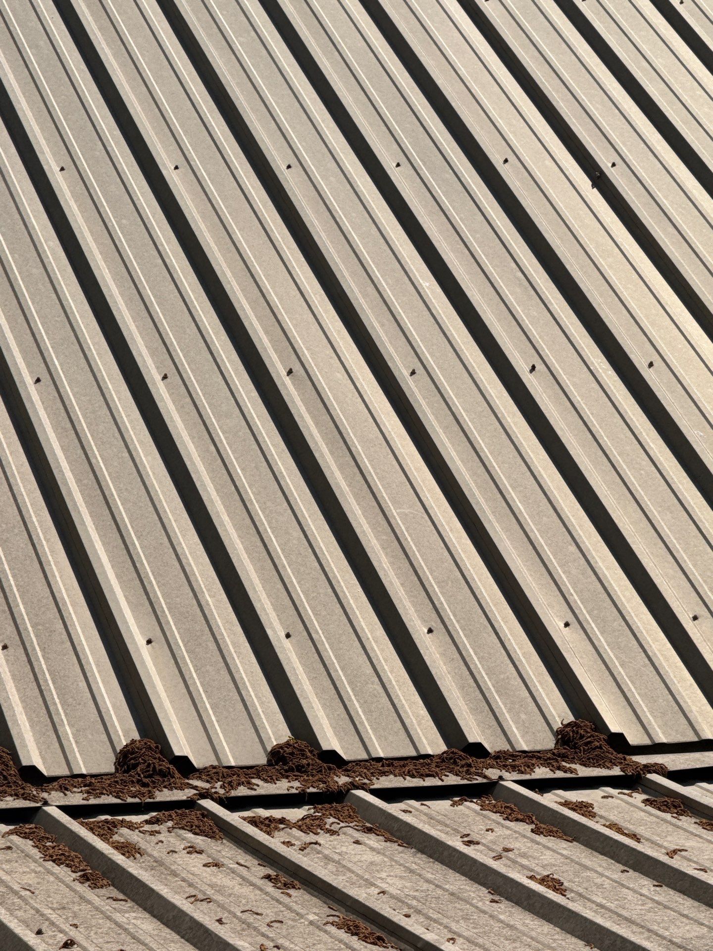 Roof Replacement in Cottondale (Light Stone) by The Roofing Dudes