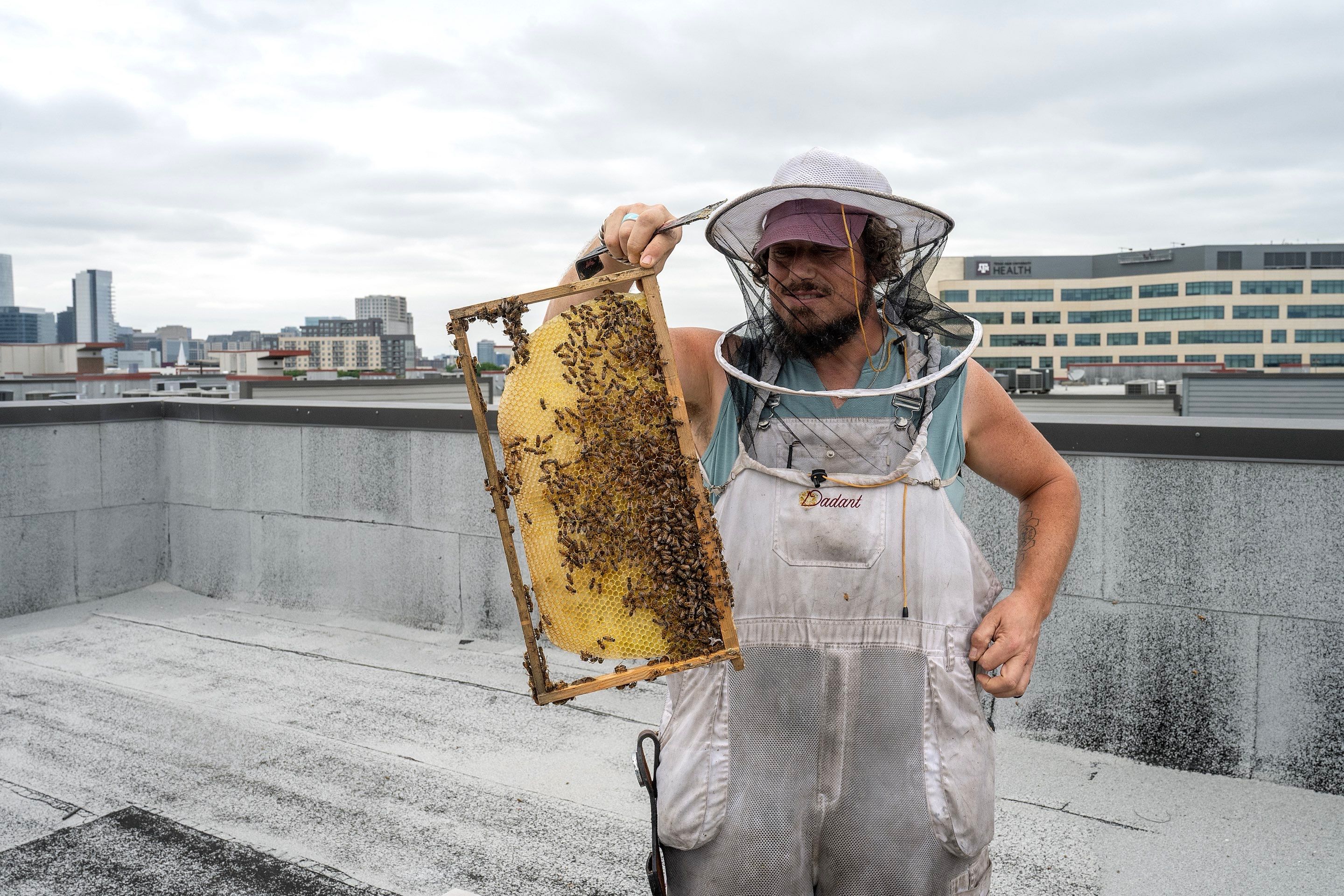 Urban Beekeeping in Dallas by Rockwall Honey Bee Company