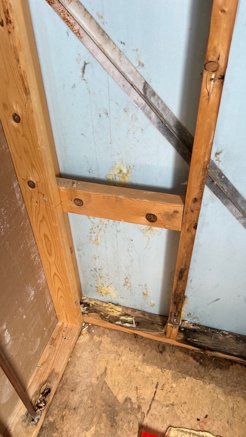 Water Damage and Mold Remediation by Accountable Home Services