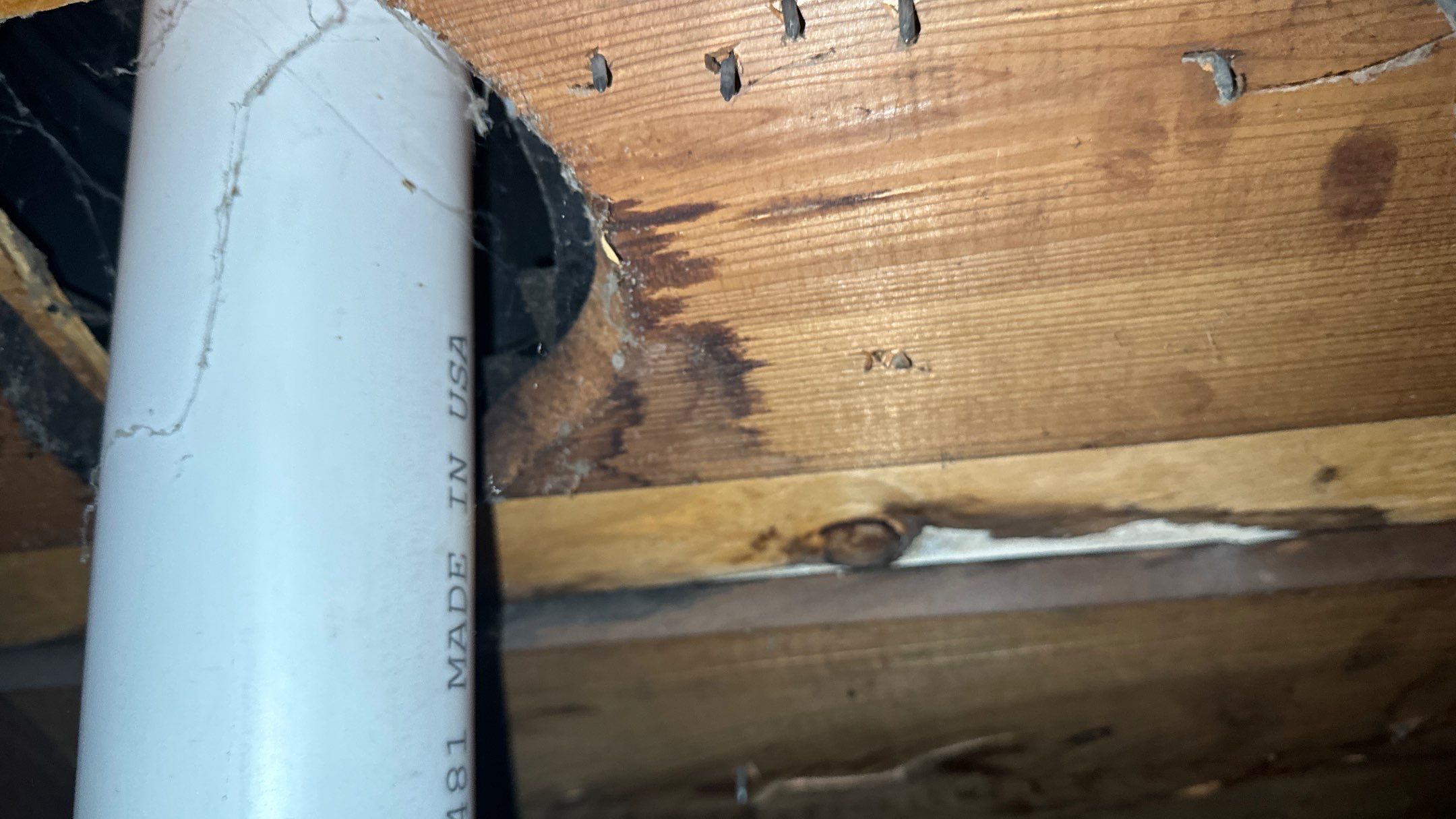 Roof Replacement using Owens Corning Summer Harvest by 180 Contractors