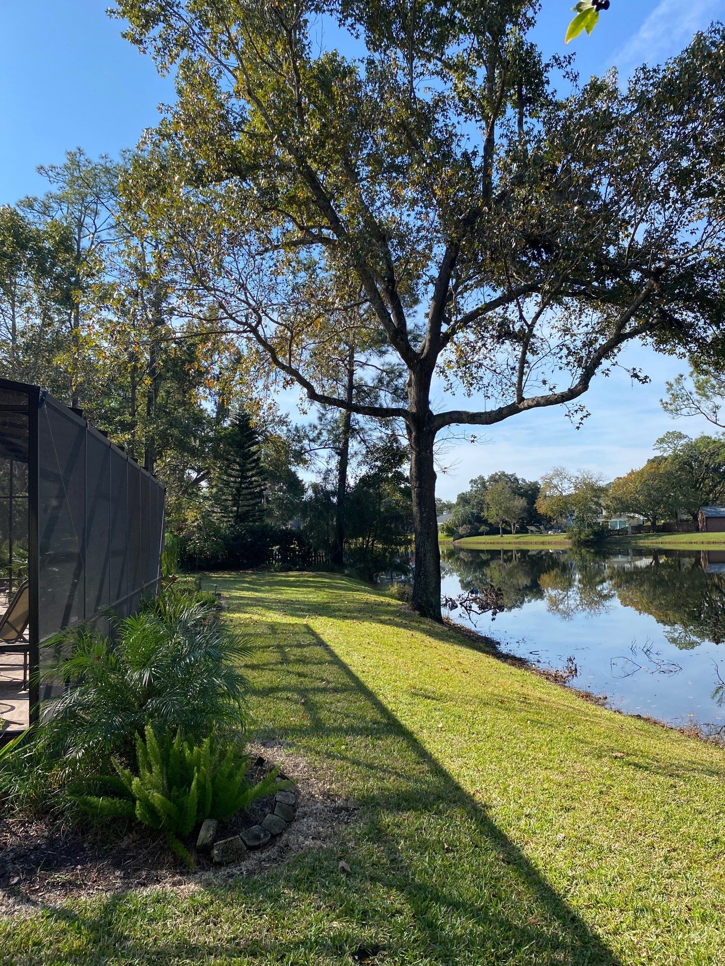 Deerwood Resident | Tree Trimming & Removal by ProGreen Services