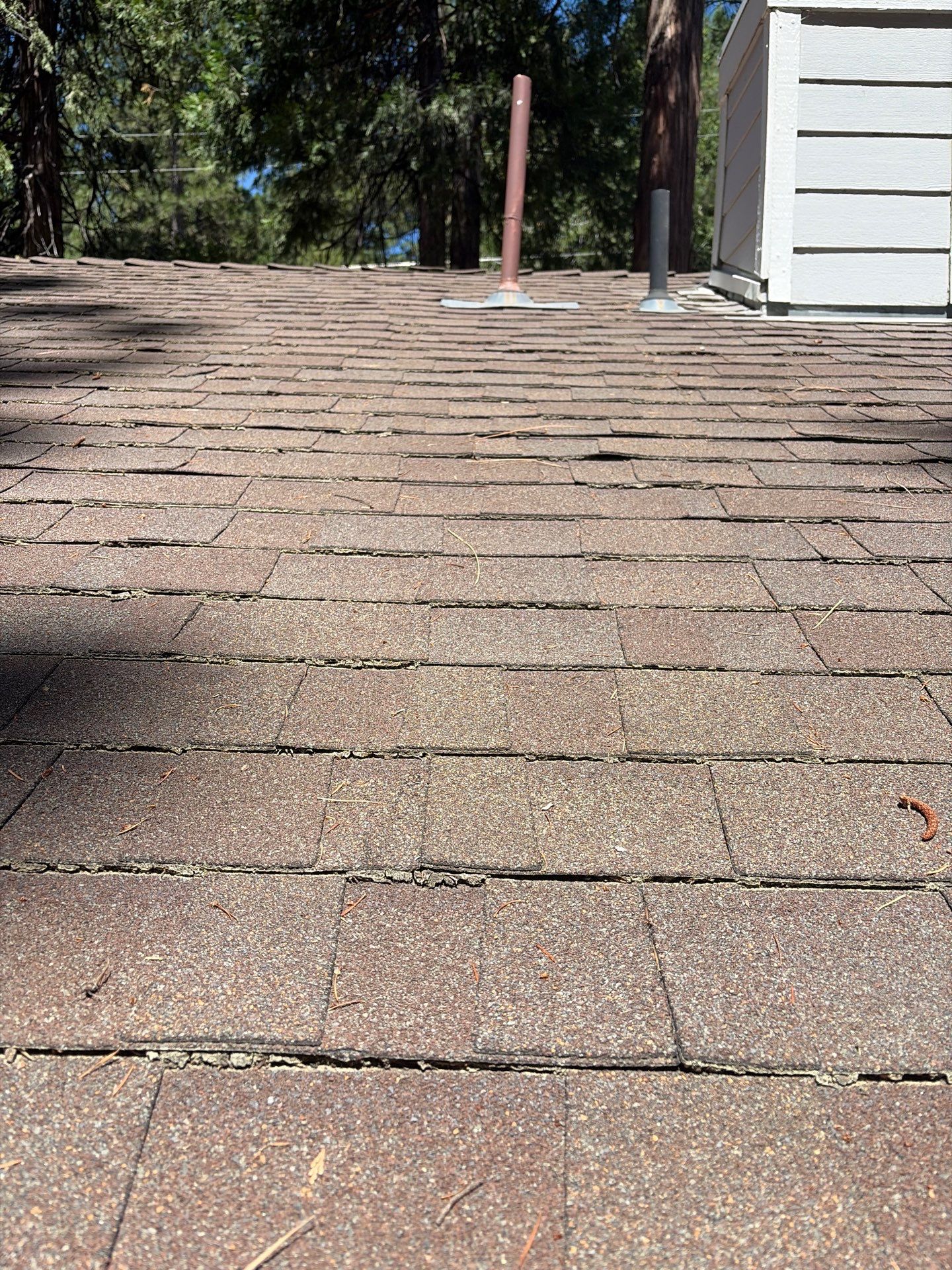 Roof Rejuvenation using Roof Maxx Treatment by Roof Maxx of Folsom