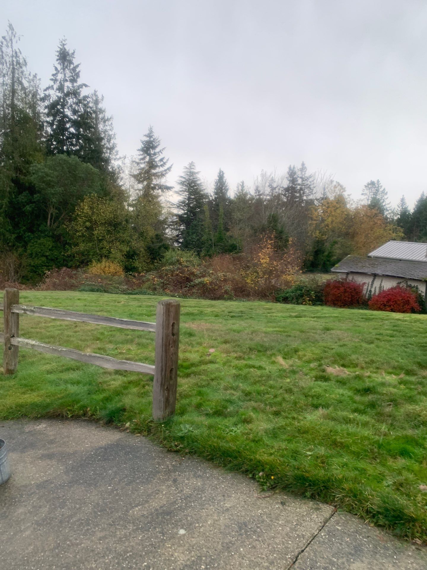 Sport Court |  Port Orchard by Jireh Asphalt & Concrete Inc 