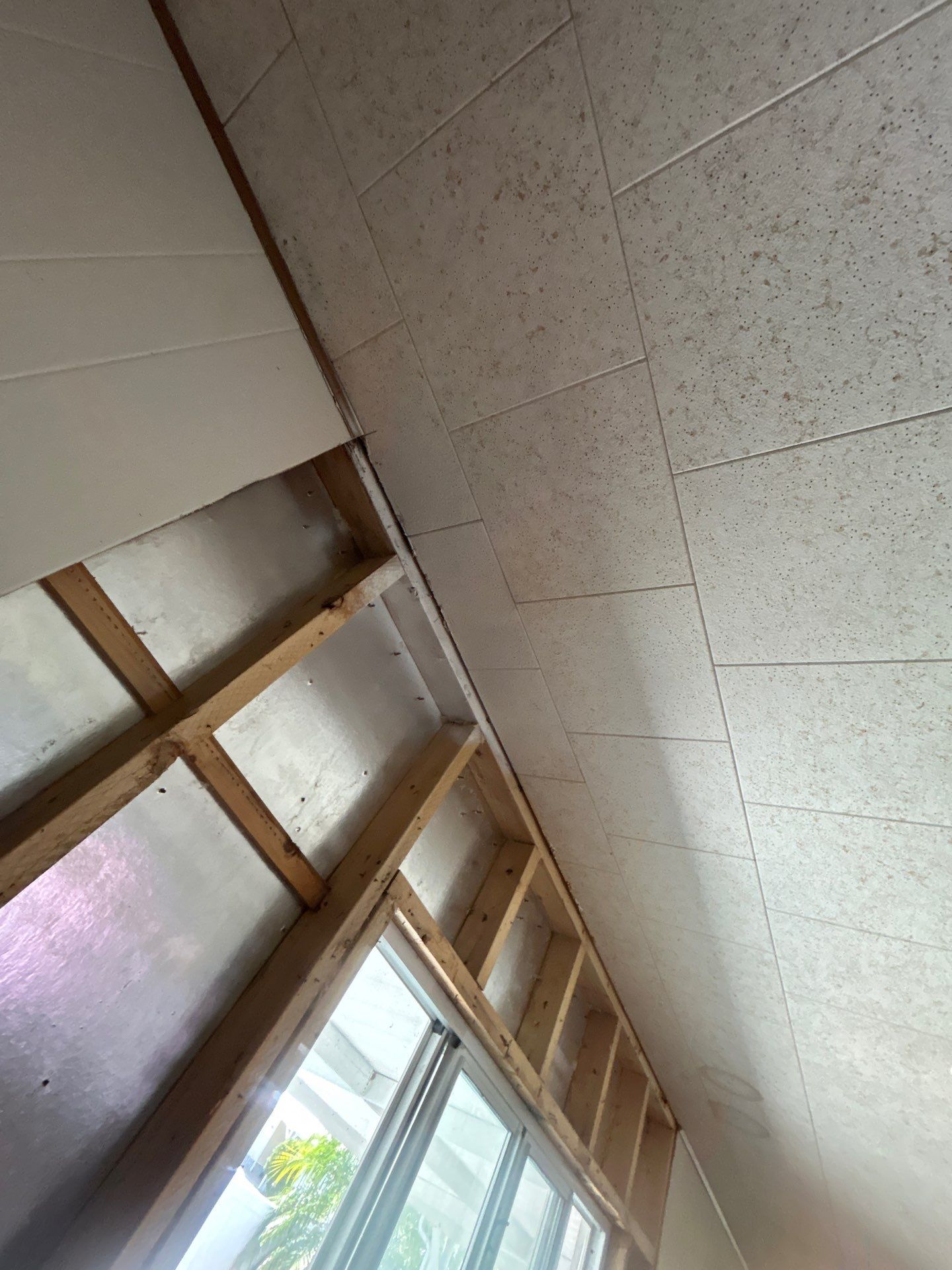 Mold Remediation Bradenton by Ampm Restoration Services 