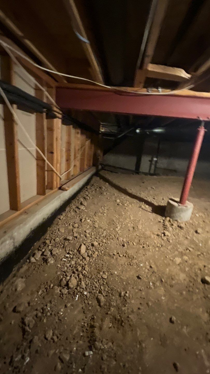 Mold Damage by Accountable Home Services