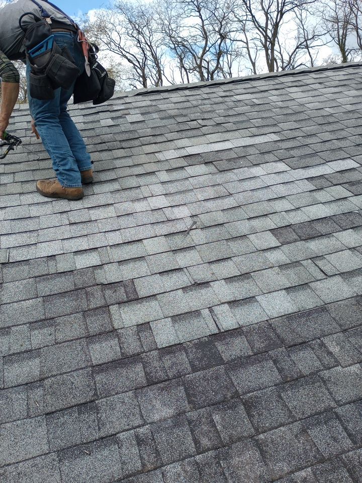 Regina Willis by Silver Leaf Contracting 