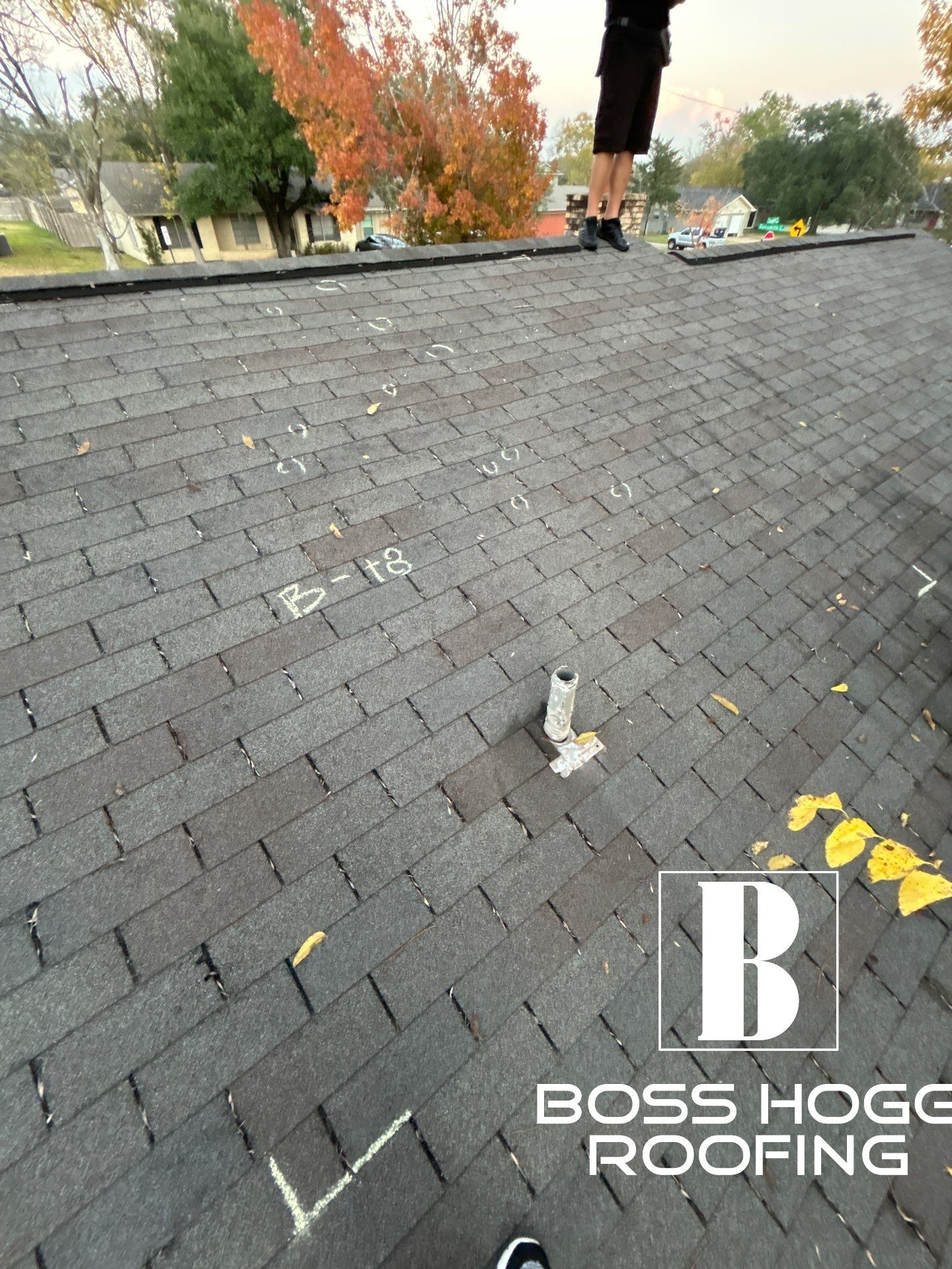 SUSANA T by Boss Hogg Roofing