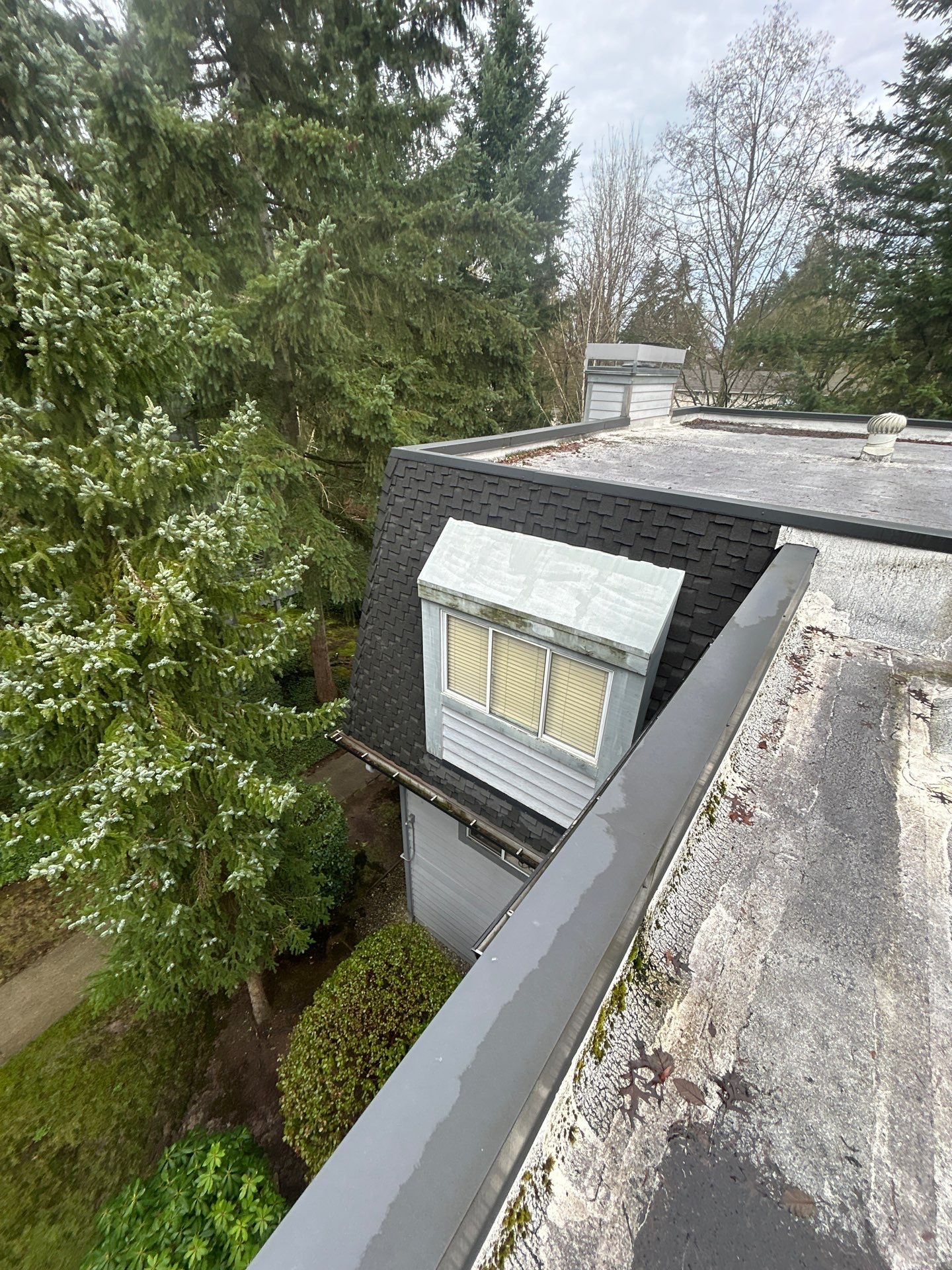 Project in Kirkland by Connolly Construction Company