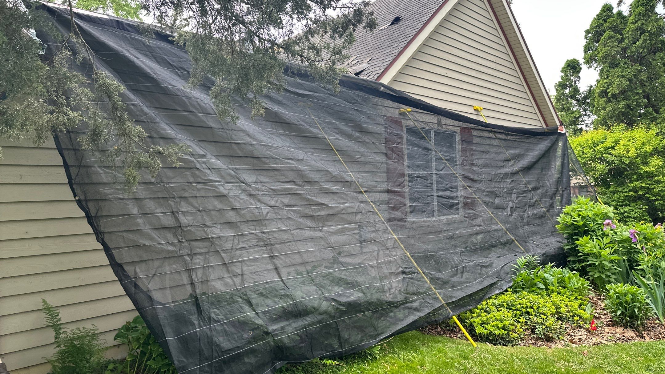 Roof replacement- Malarkey Vista color Hether by Pro Home Services Inc