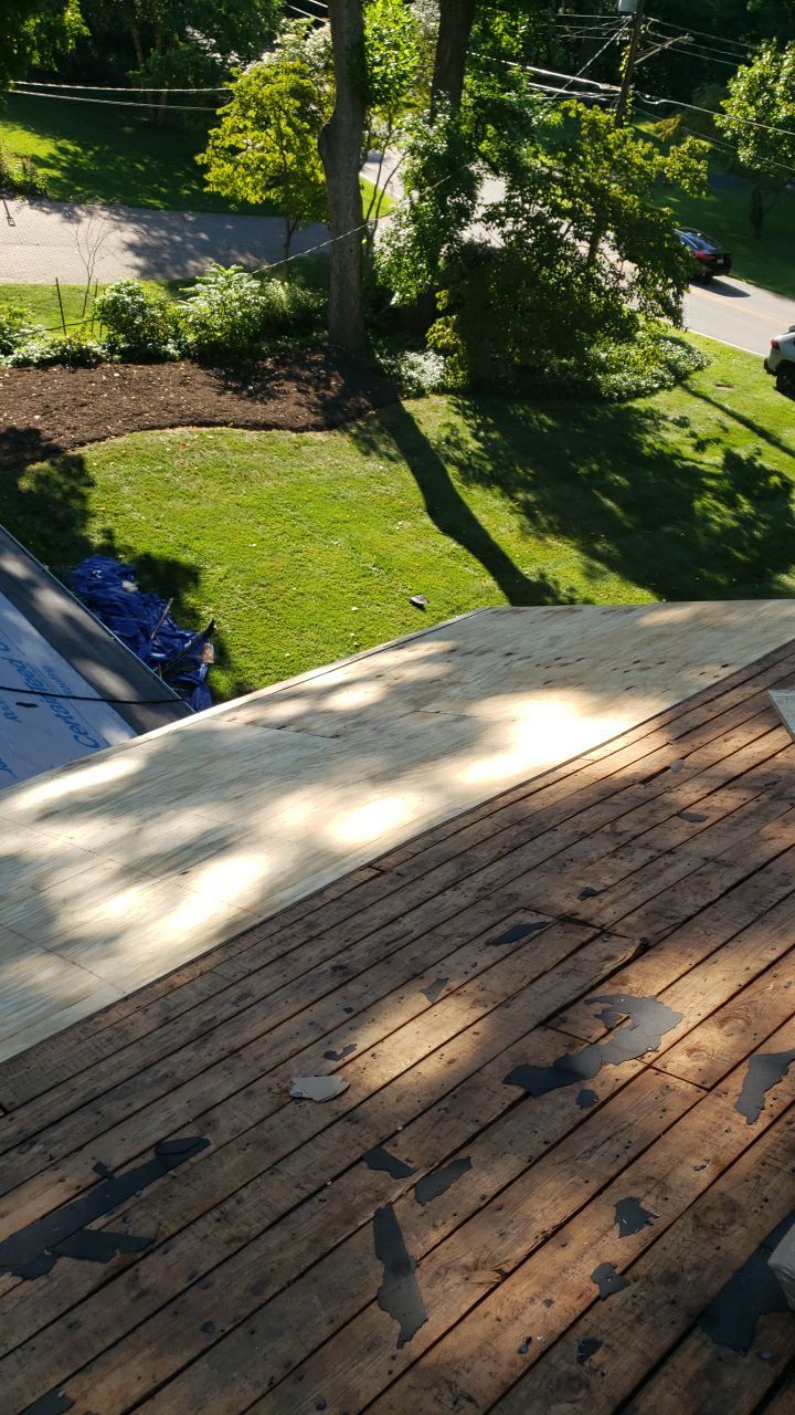 Alexandria Roof Project - CertainTeed Landmark Pro Max Def Charcoal Black Shingles by RM Banning, Inc.