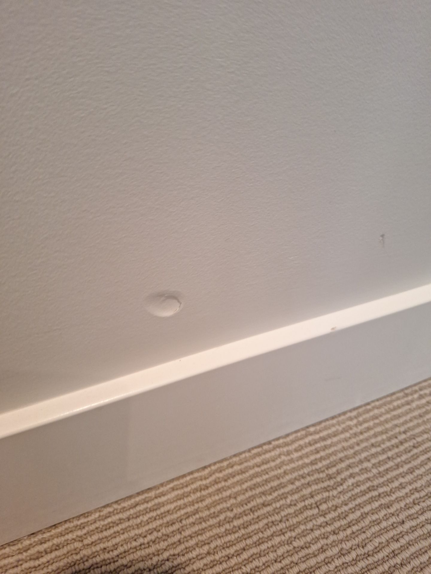 Spring Lake, Michigan - Interior Painting & Repairs by Gordon Painting