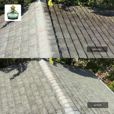 Residential Shingle Roof Cleaning in Orlando