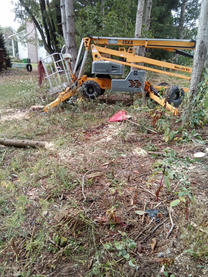 Tree Removal using Tree Removal by Mike Jones & Sons Tree Service LLC 