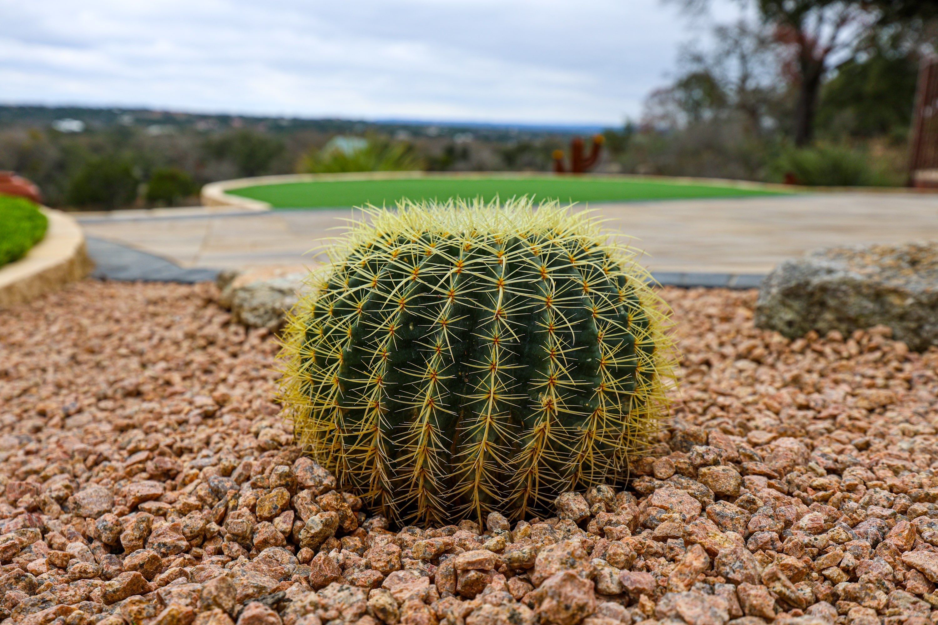 Cordillera Ranch, Boerne Tx. by Hole In One Lawns, LLC