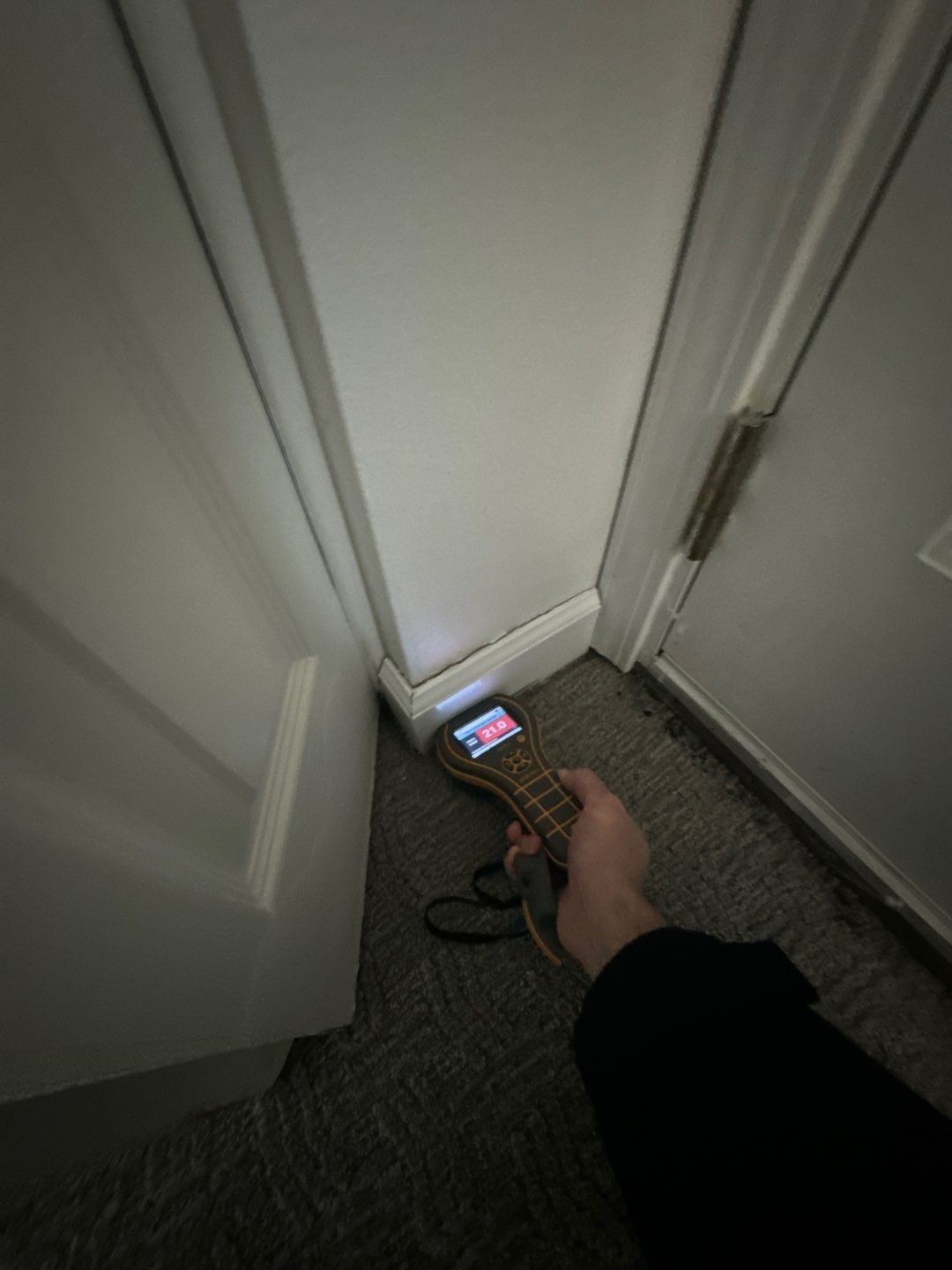 Project in Royal Oak by EzDry Water Mitigation & Property Restoration