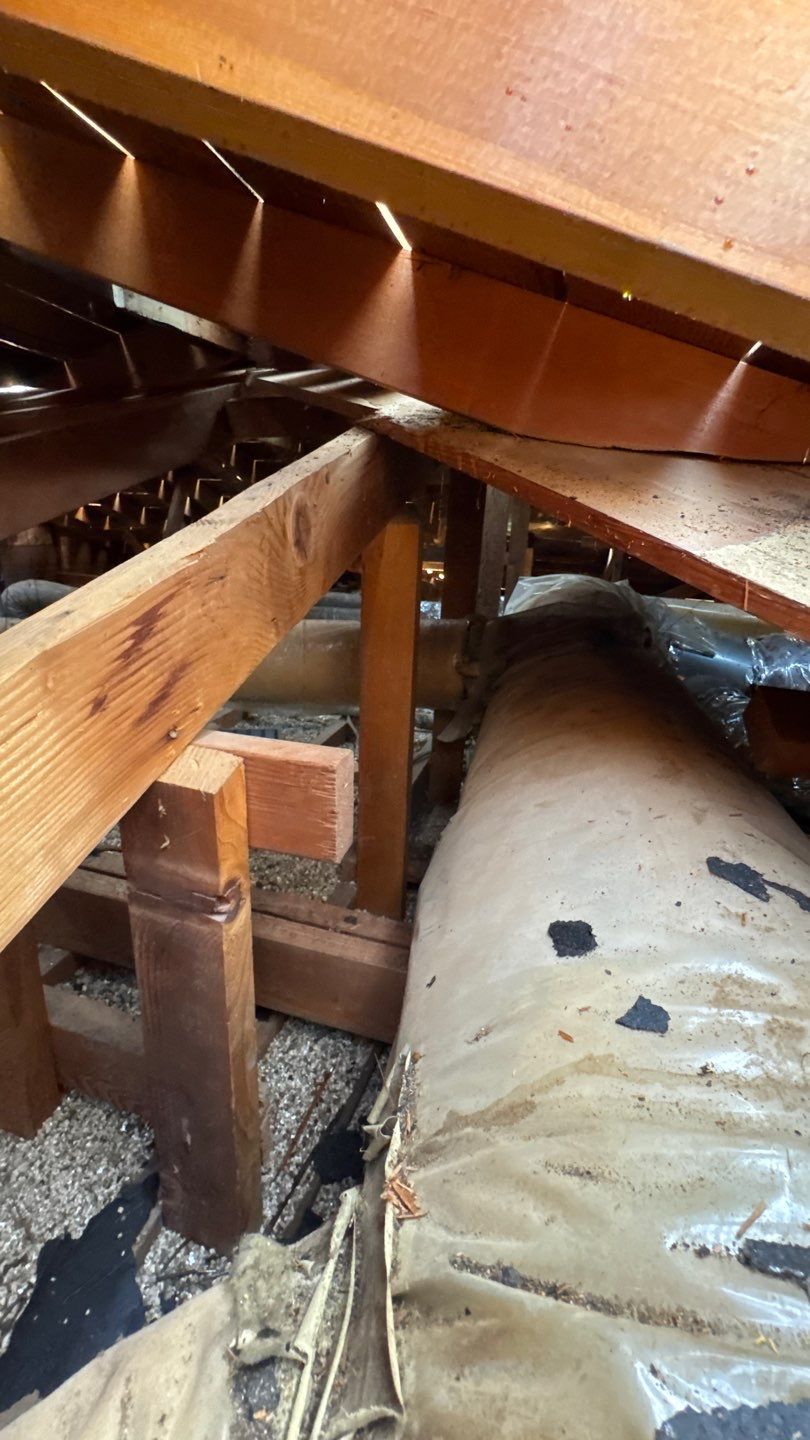 Willa Holmstock by NuLead Construction Inc