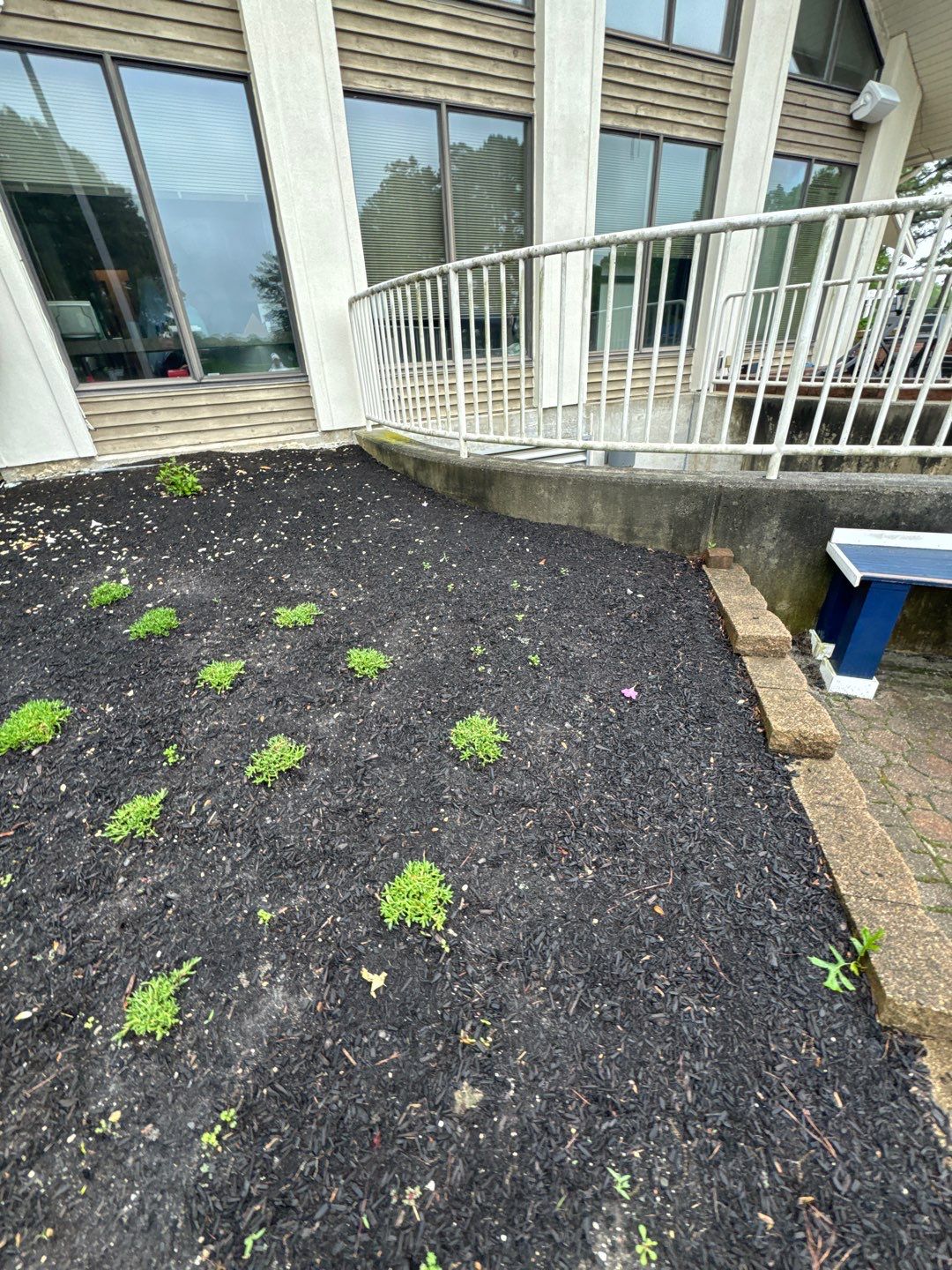 Commercial Cleaning using Building SoftWash & Pressure washing by SJ Exterior