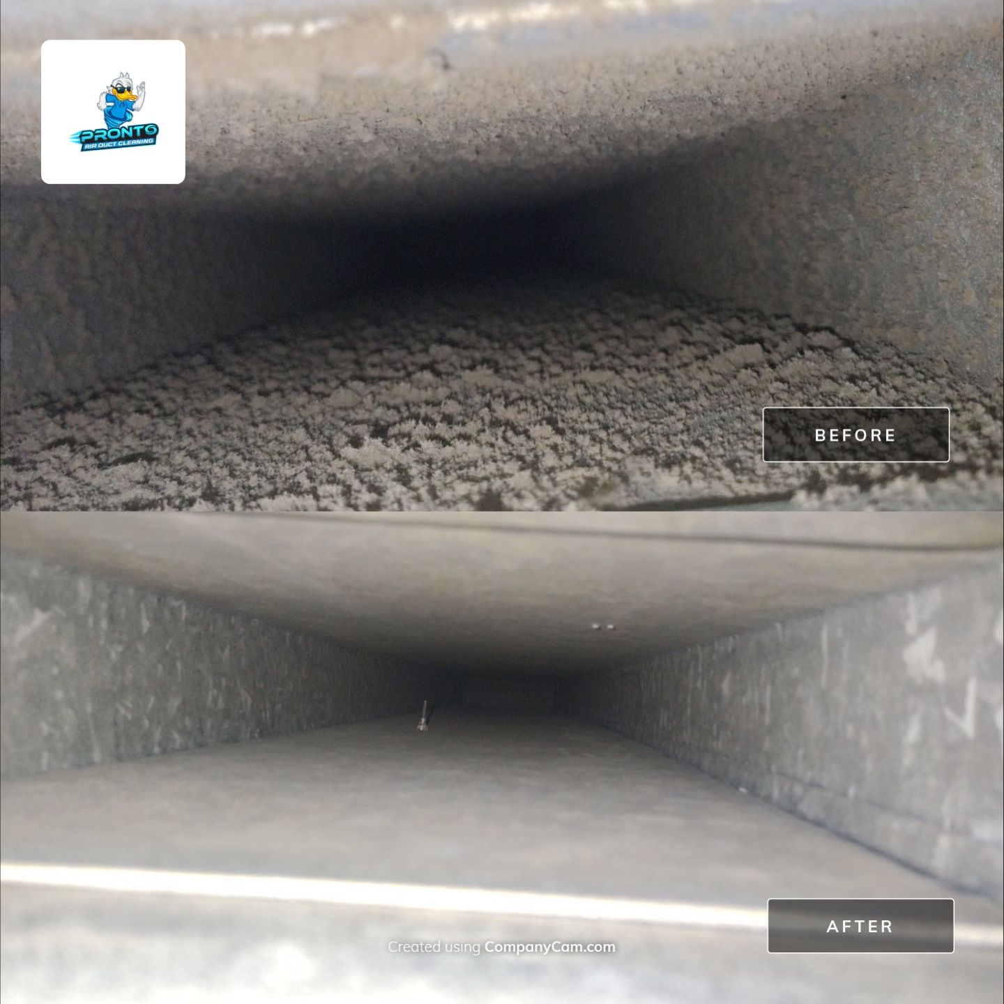 Duct Cleaning Alexandria, VA by Pronto Air Duct Cleaning