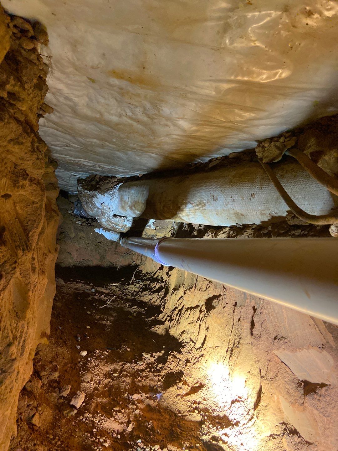 Project in Newcastle by PRO-ROOTER