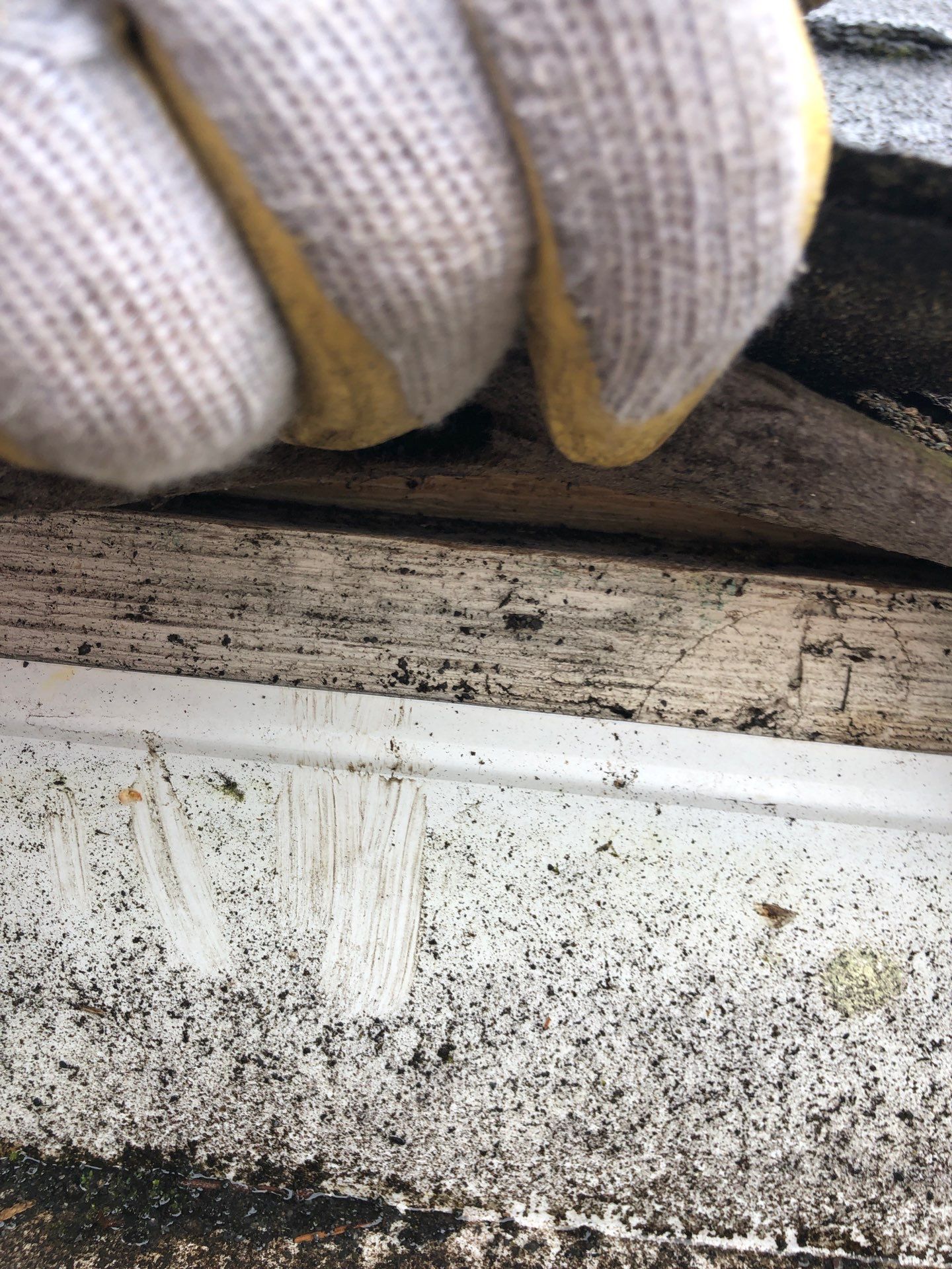 Project in Bellingham by Connolly Construction Company