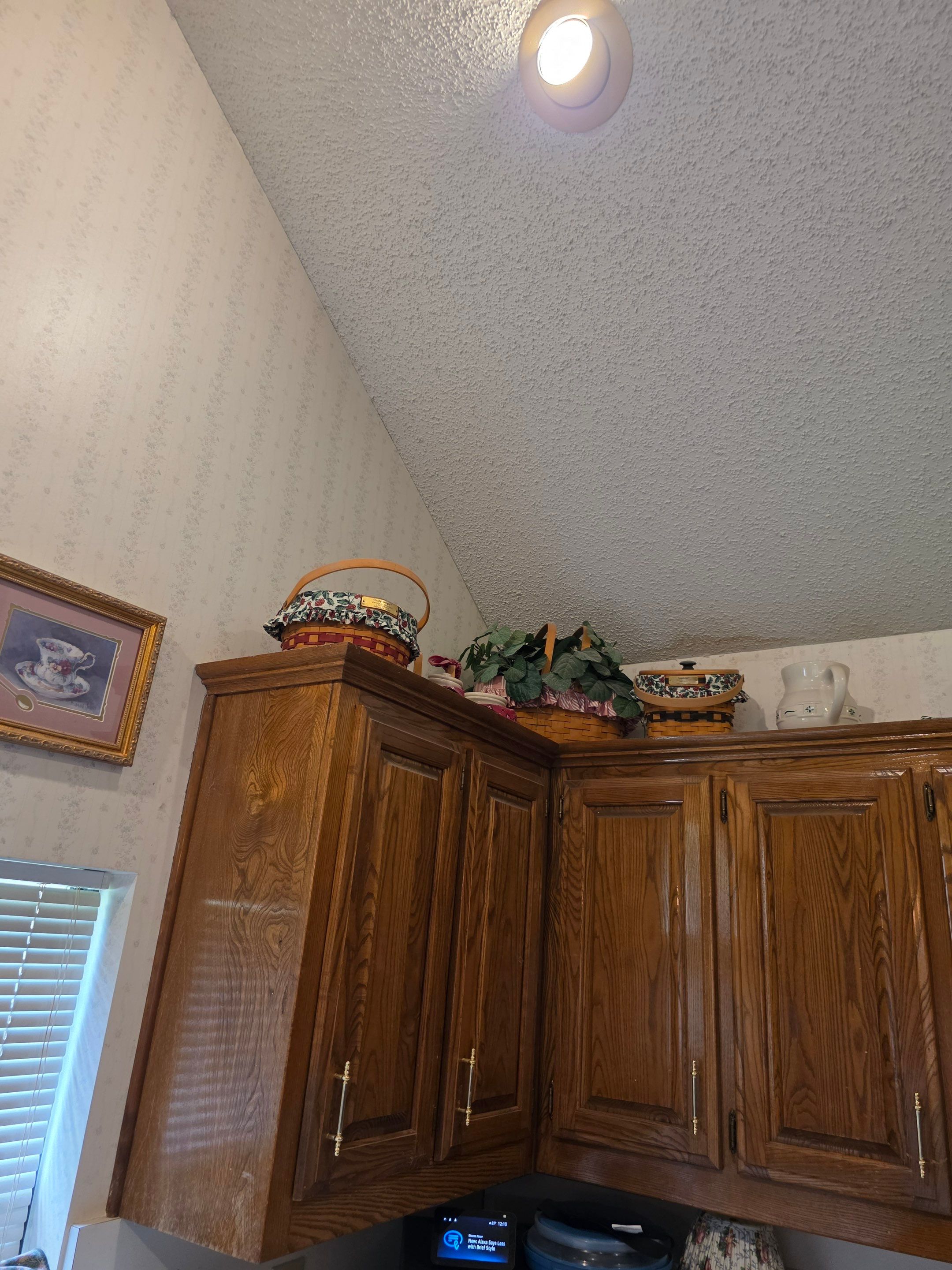 Kitchen ceiling bees by Rockwall Honey Bee Company