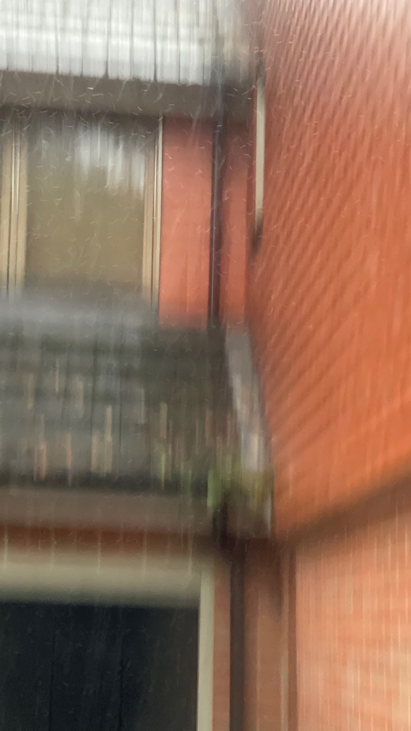 Roof Clean and Biocide Treatment using Honda 15lpm Low Pressure Washing Machine by Ges Exterior Cleaning ltd