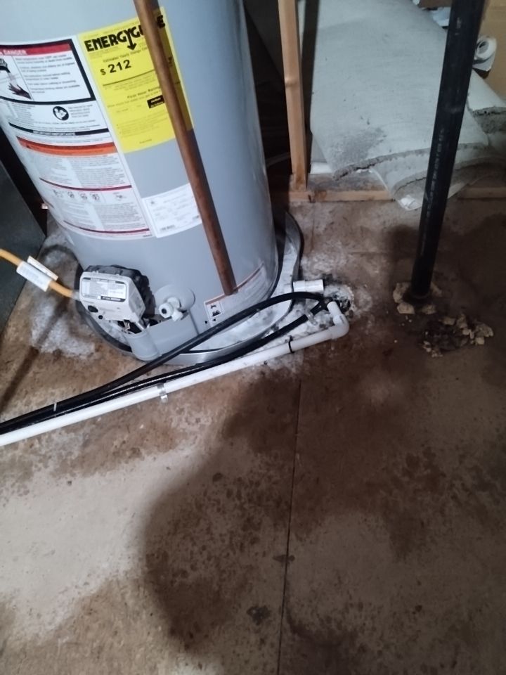 Mold Damage by Accountable Home Services