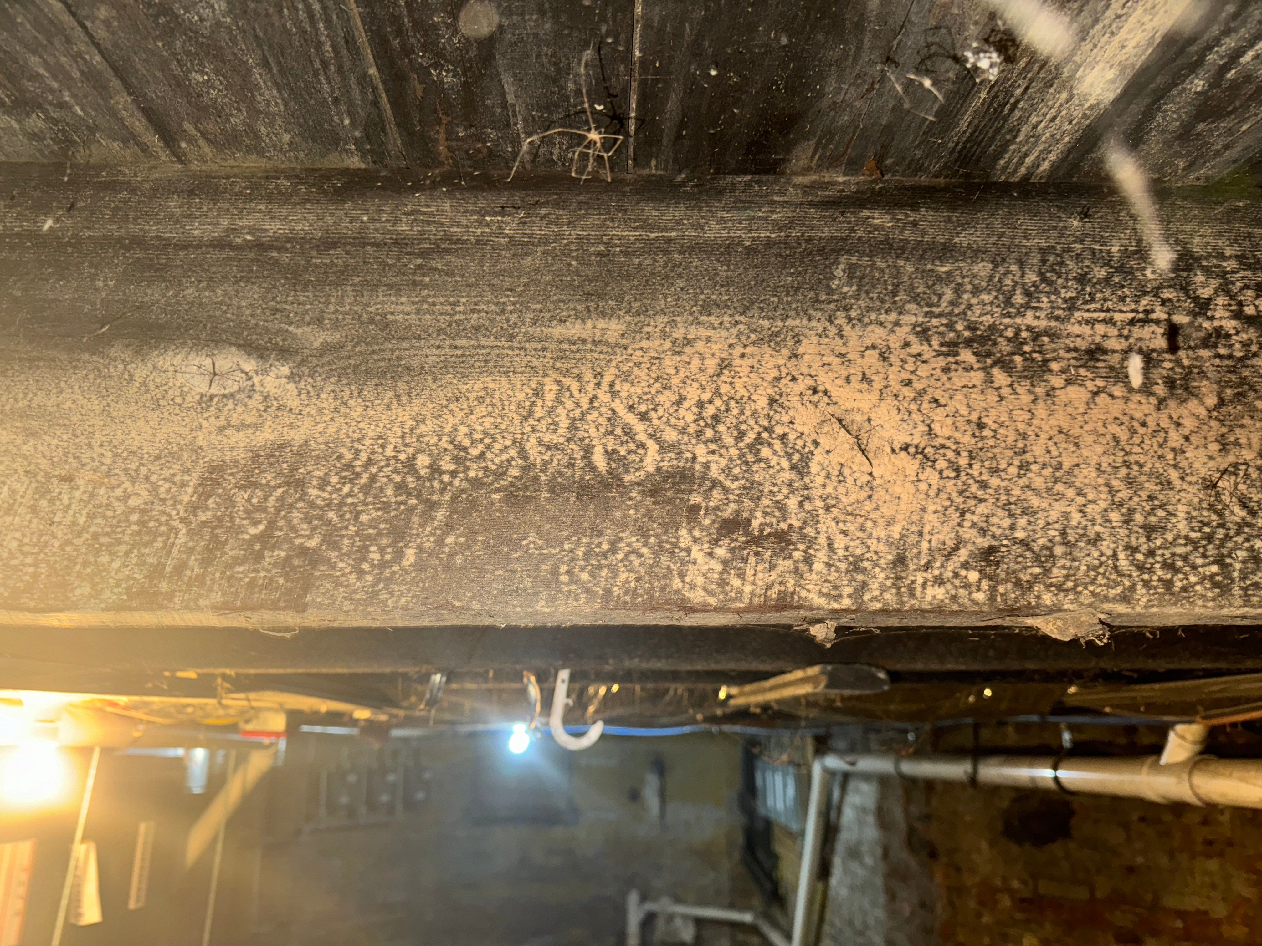 Interior French Drain & Wall Vapor Barrier in Newark, NJ  by Pure Service Pro, LLC 