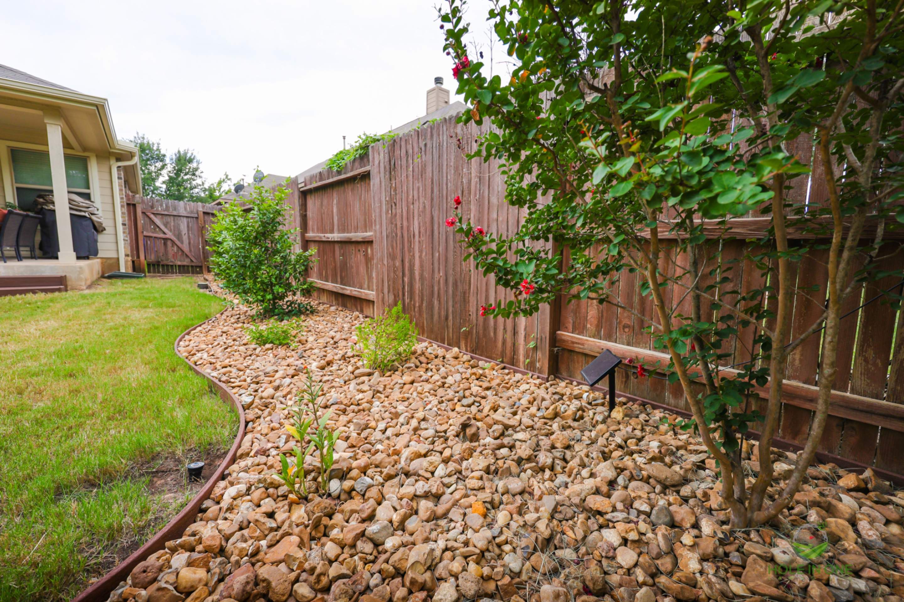 Wortham Oak, San Antonio Tx. by Hole In One Lawns, LLC