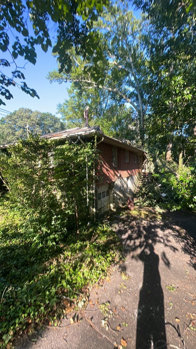 Emergency Roofing Services using GAF HDZ Architectural Asphalt Shingles by Mosaic Roofing Company