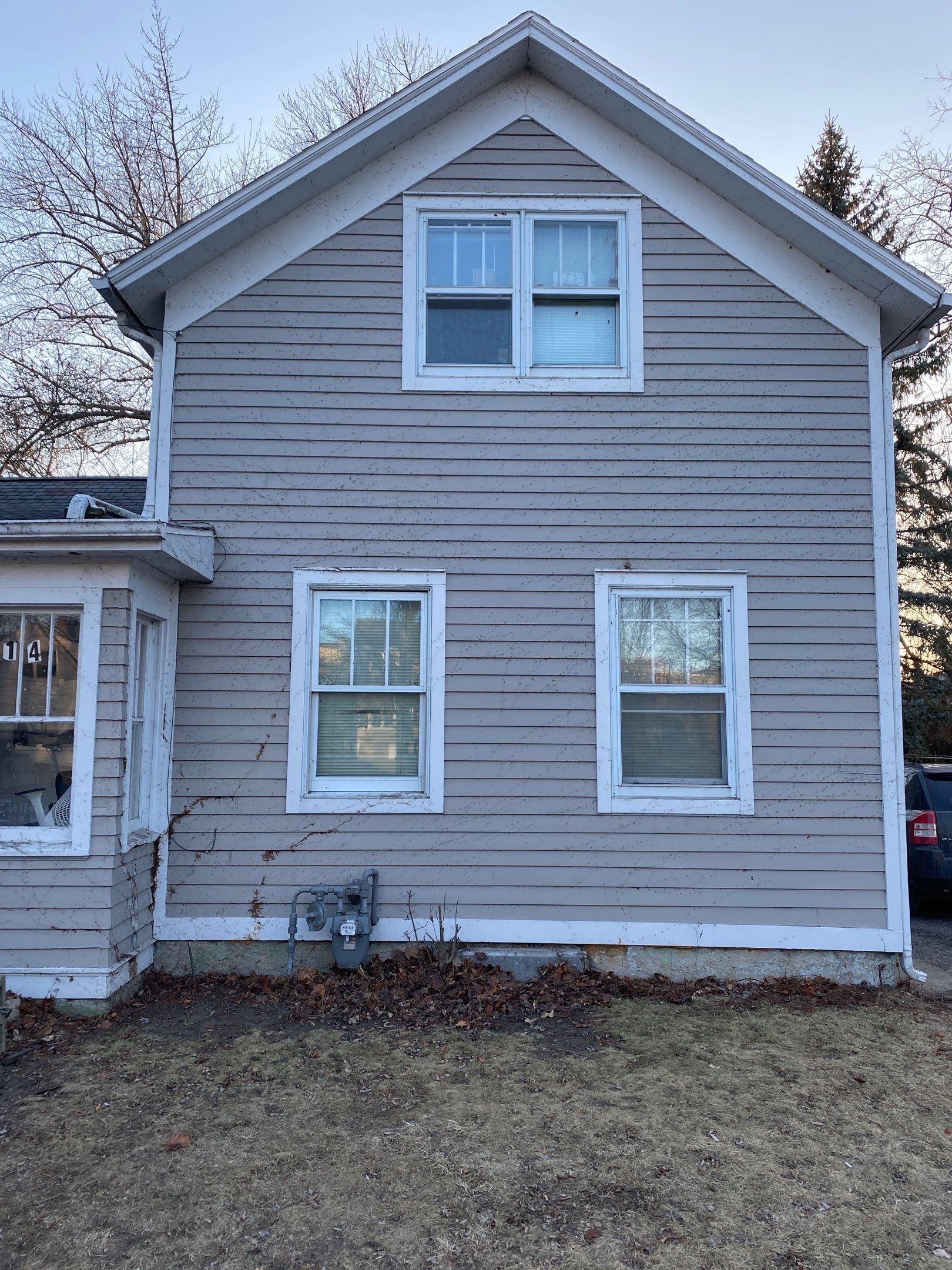 Vine Removal by Shulla Exterior Cleaning