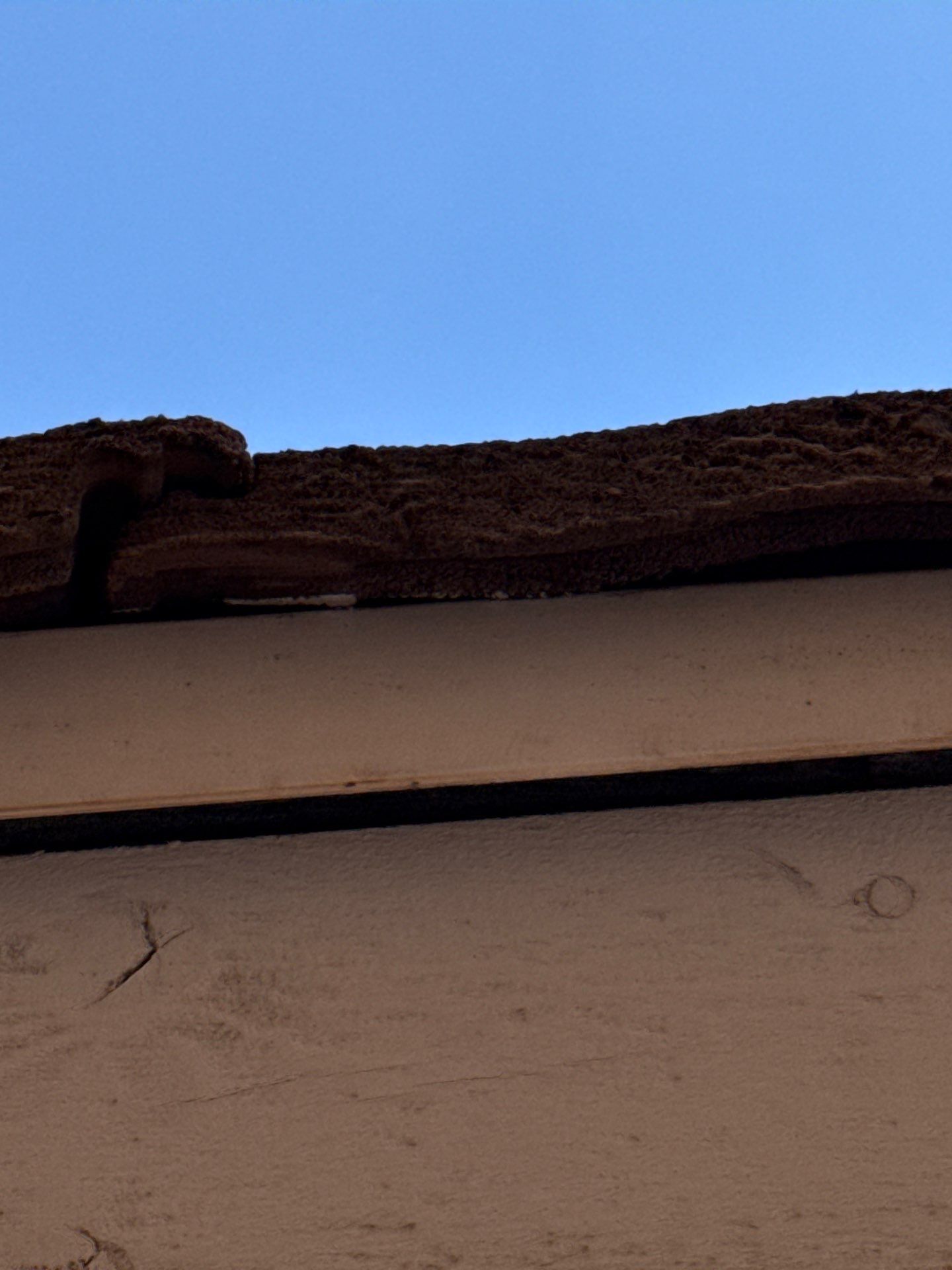 Exterior Painting - Gilbert by Crash of Rhinos Painting & Garage Floors