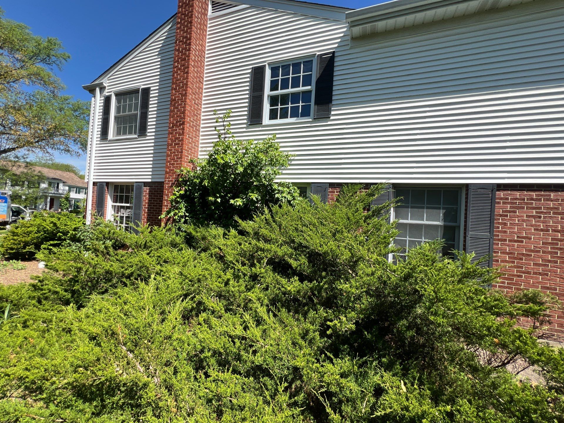 Housewashing  using Algaecide, soft wash soap by Northern Power Washing LLC.