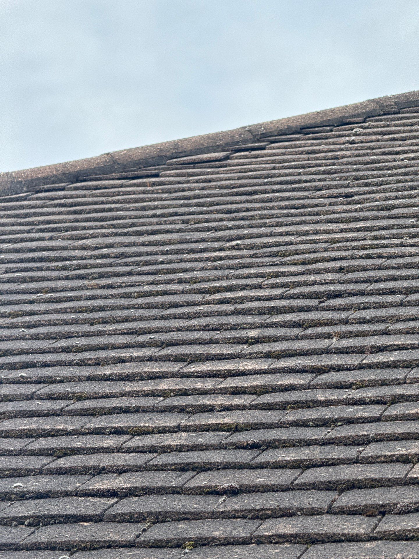Exterior Clean - Roof - Patio - Driveway using honda 21 ltr/min by Ges Exterior Cleaning ltd