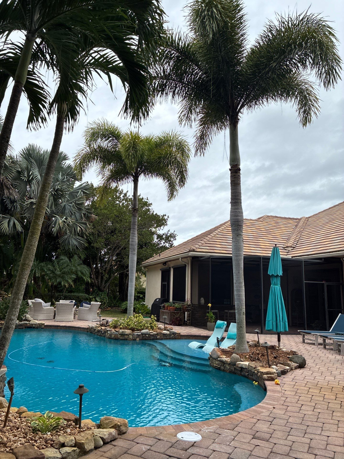 Palm Perfection & Poolside Restoration in Lighthouse Point by Alpha Zeta Enterprises Inc