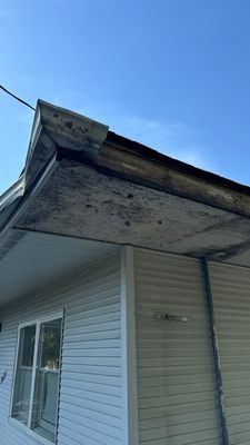 Turtle Shell gutter protection installation in Morris, IL 60450, photograph 10