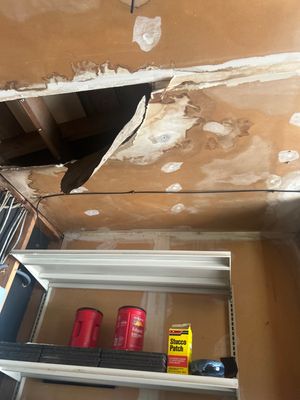 Reconstruction and Remodeling