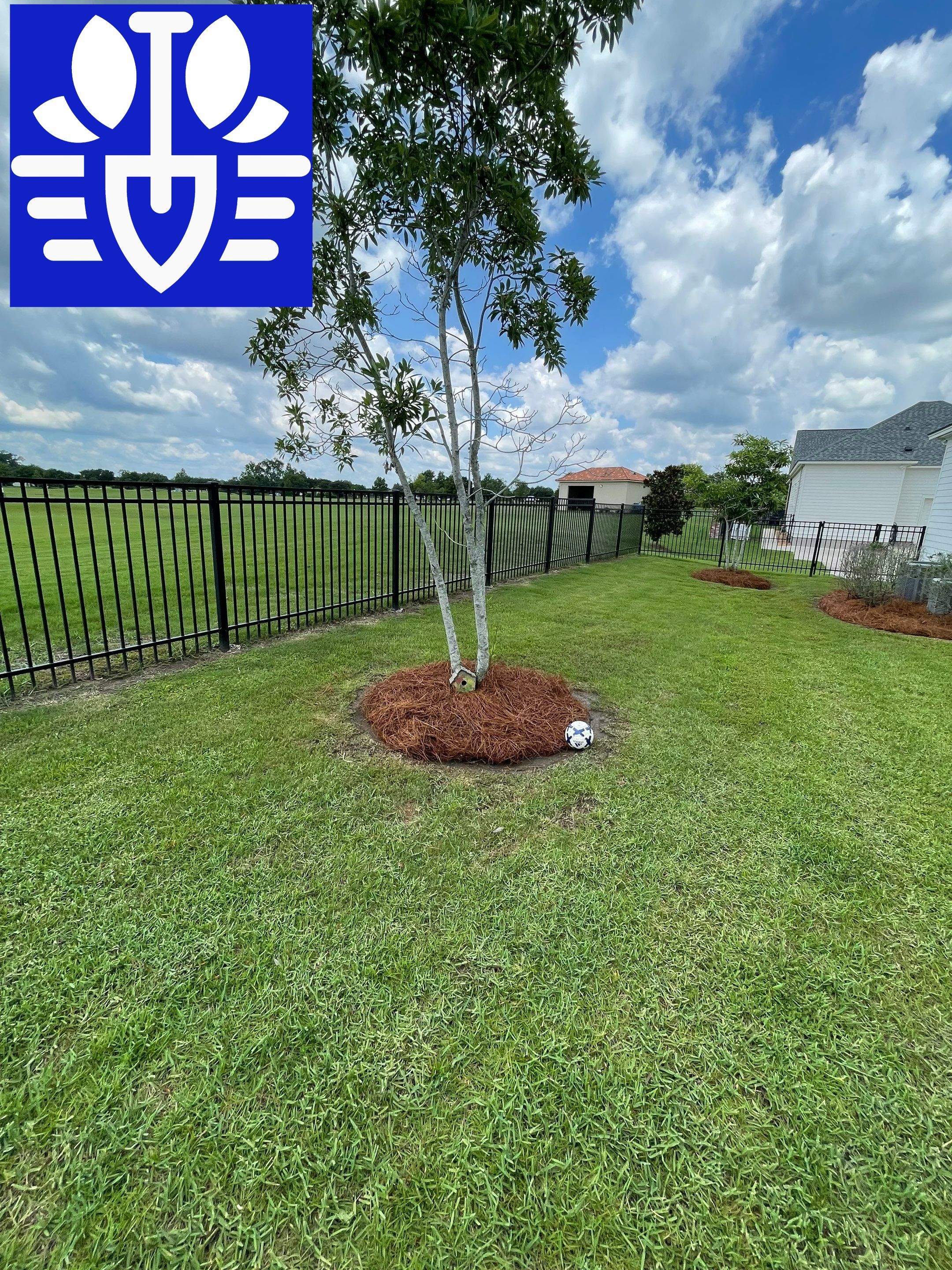 LANDSCAPE SERVICES: LANDSCAPE CLEANUP by CutScape, LLC.