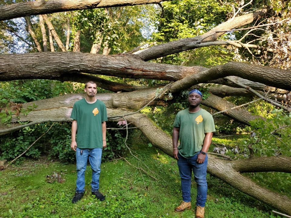 Storm Damaged Tree Removal  by Mike Jones & Sons Tree Service LLC 